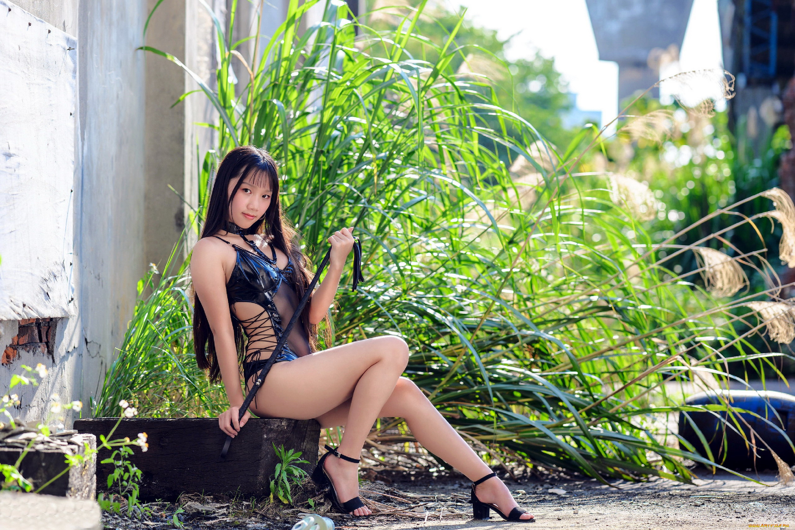 девушки, -, азиатки, азиатка, боди, плетка