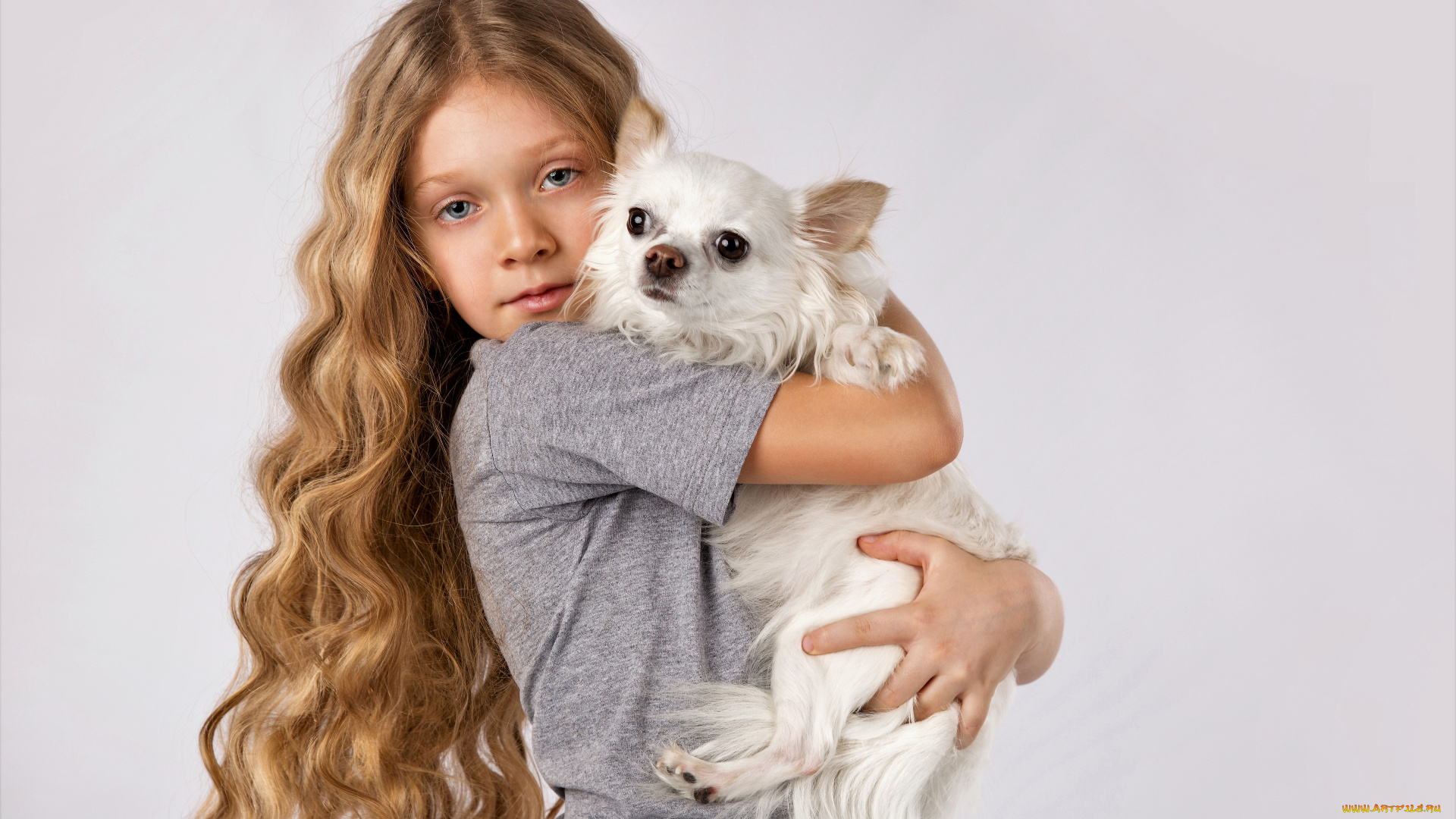 разное, дети, девочка, собака
