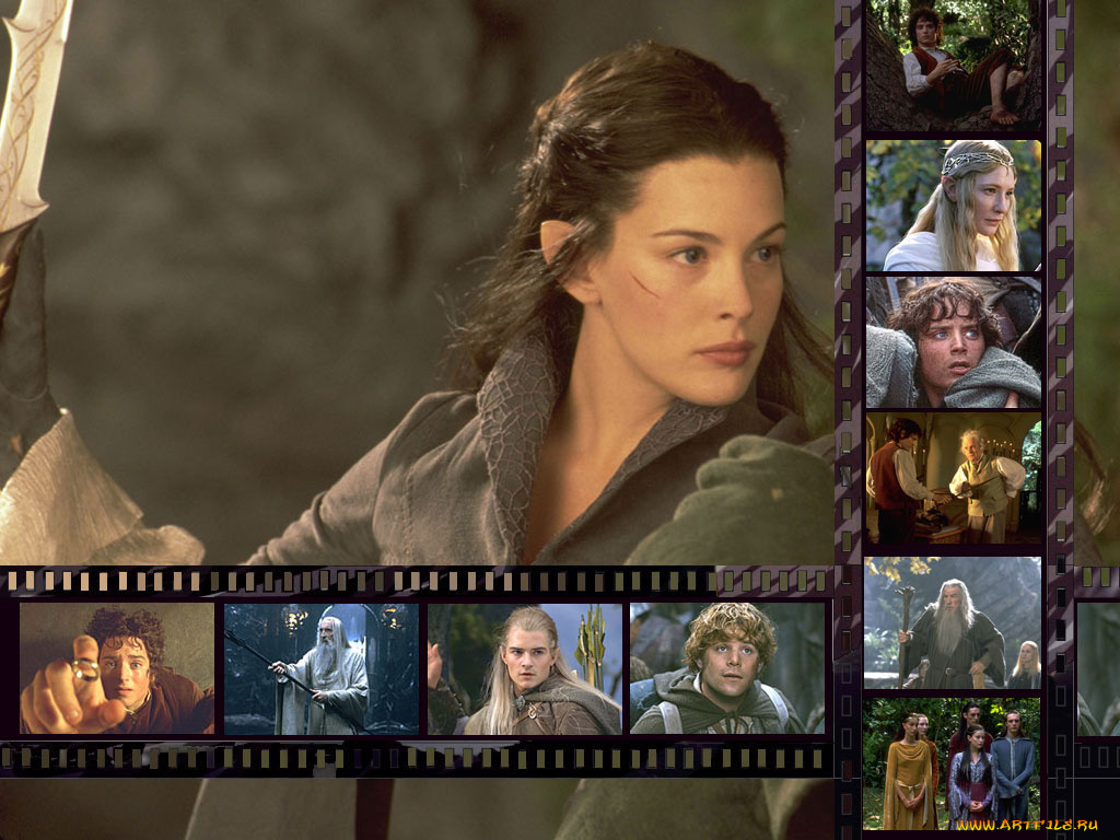 кино, фильмы, the, lord, of, rings, fellowship, ring