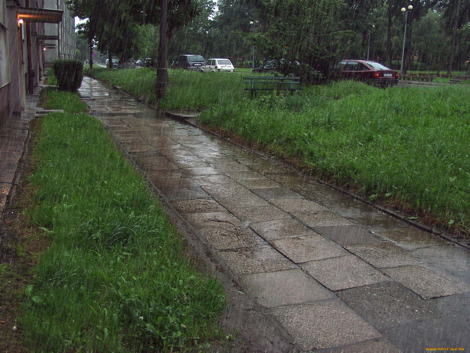 rain, города, другое