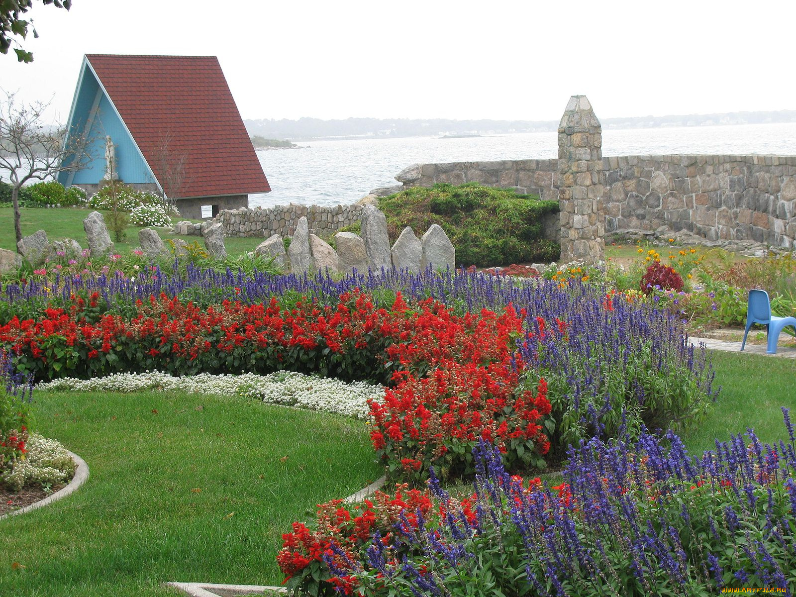 цветы, разные, вместе, клумба