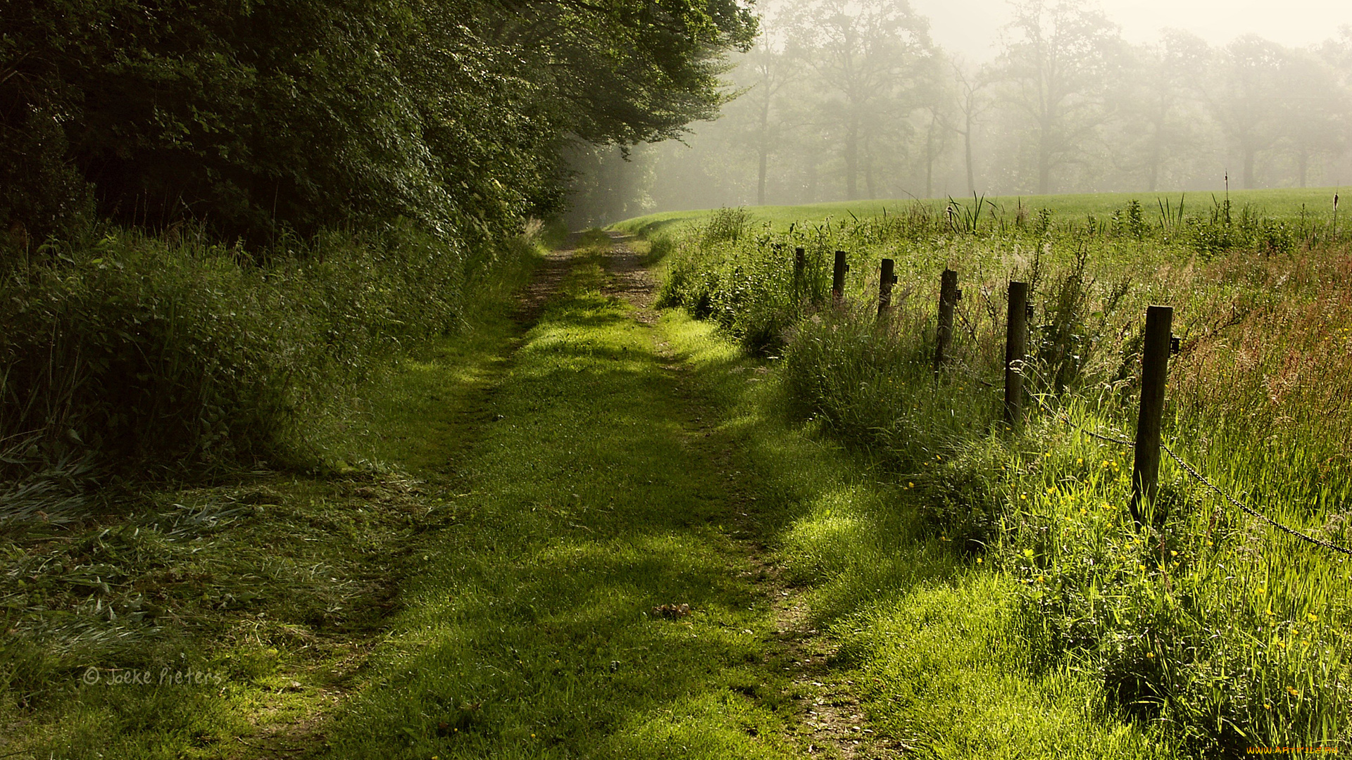 природа, дороги