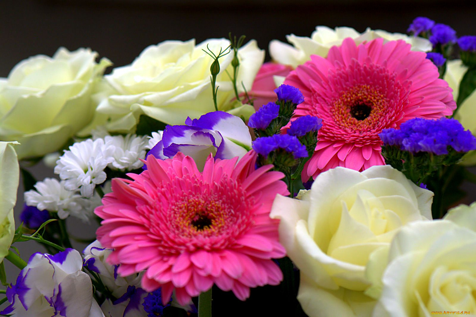 цветы, разные, вместе, розы, герберы