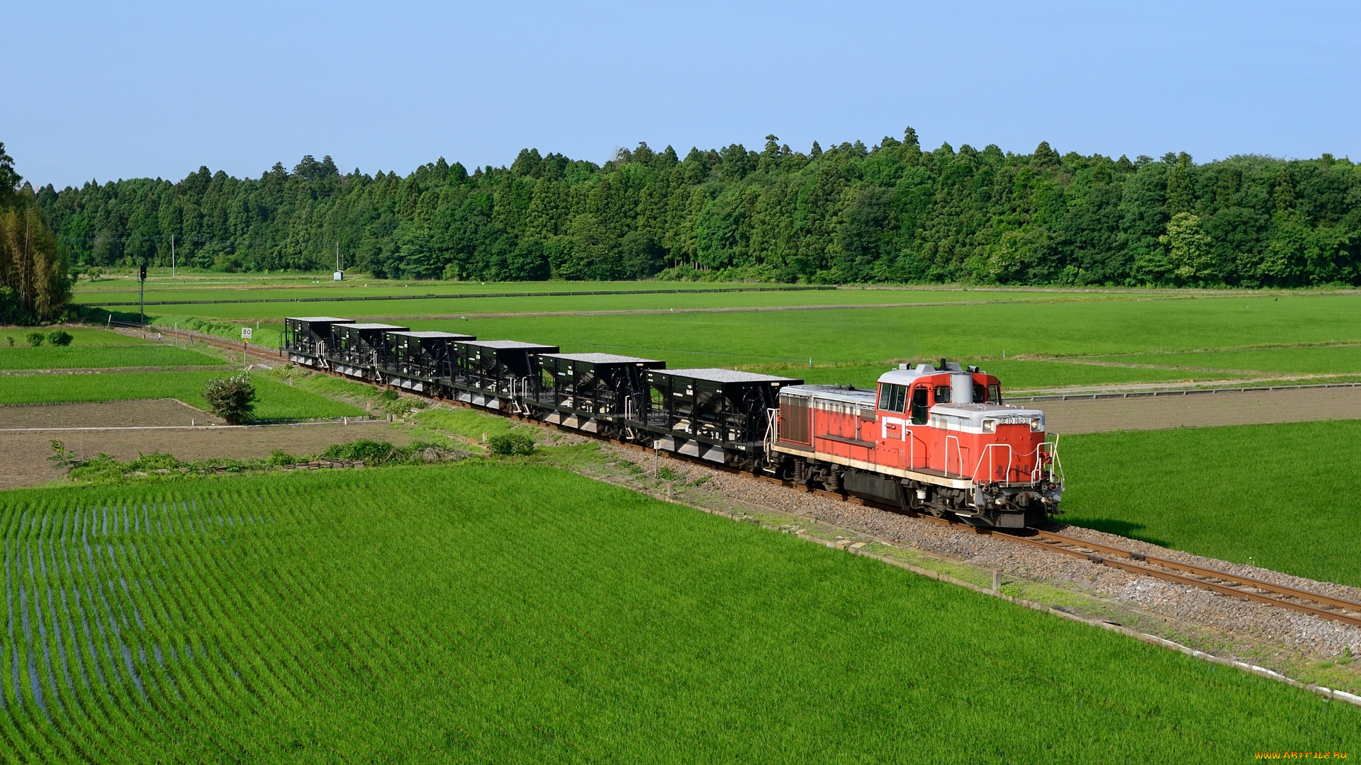 техника, поезда, поле, лоезд, рельсы, вагоны