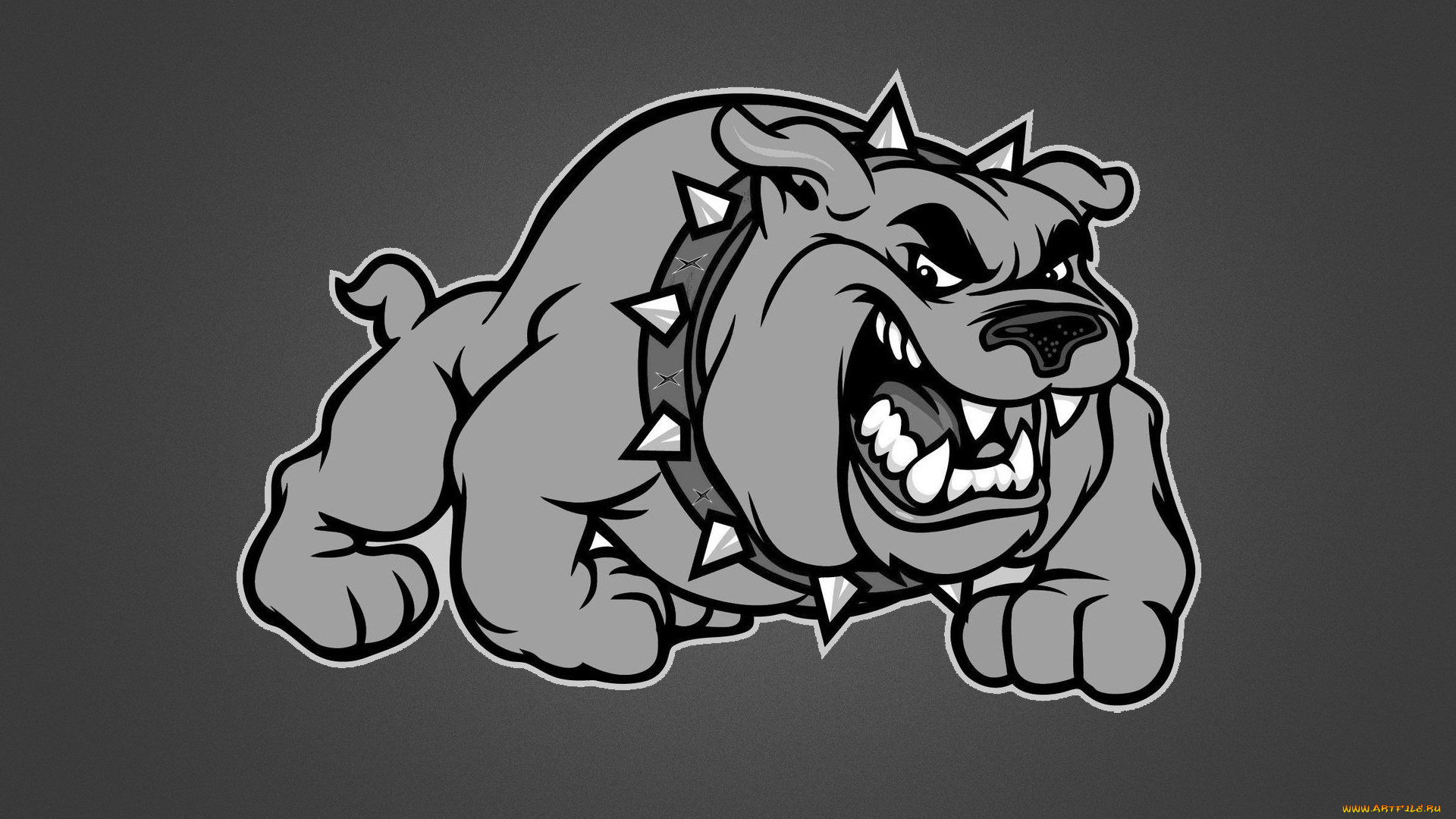 злая, собака, рисованные, минимализм, серый, фон, рычит, зубастая, ошейник, шипы