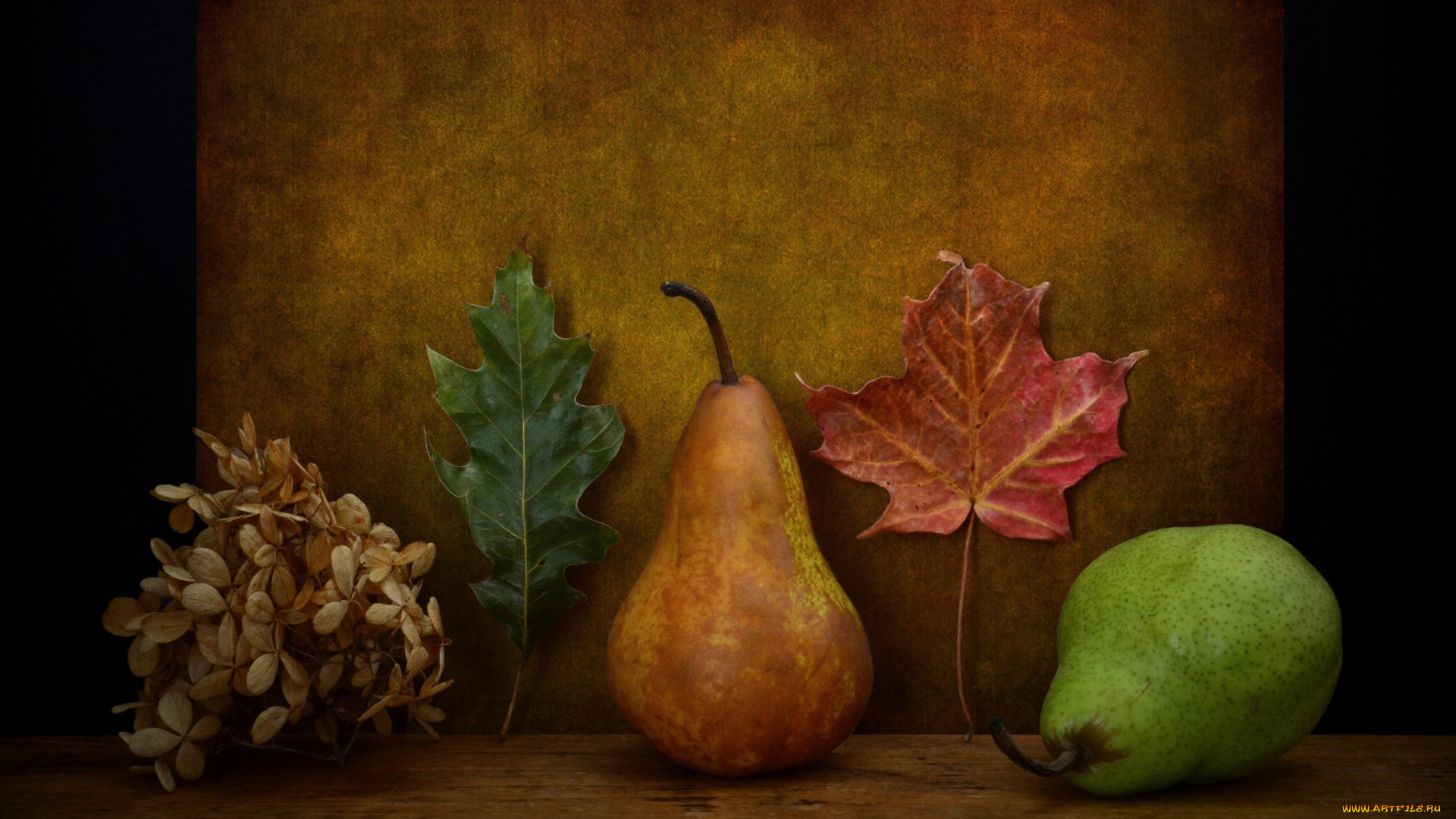 еда, груши, плоды, листья, композиция