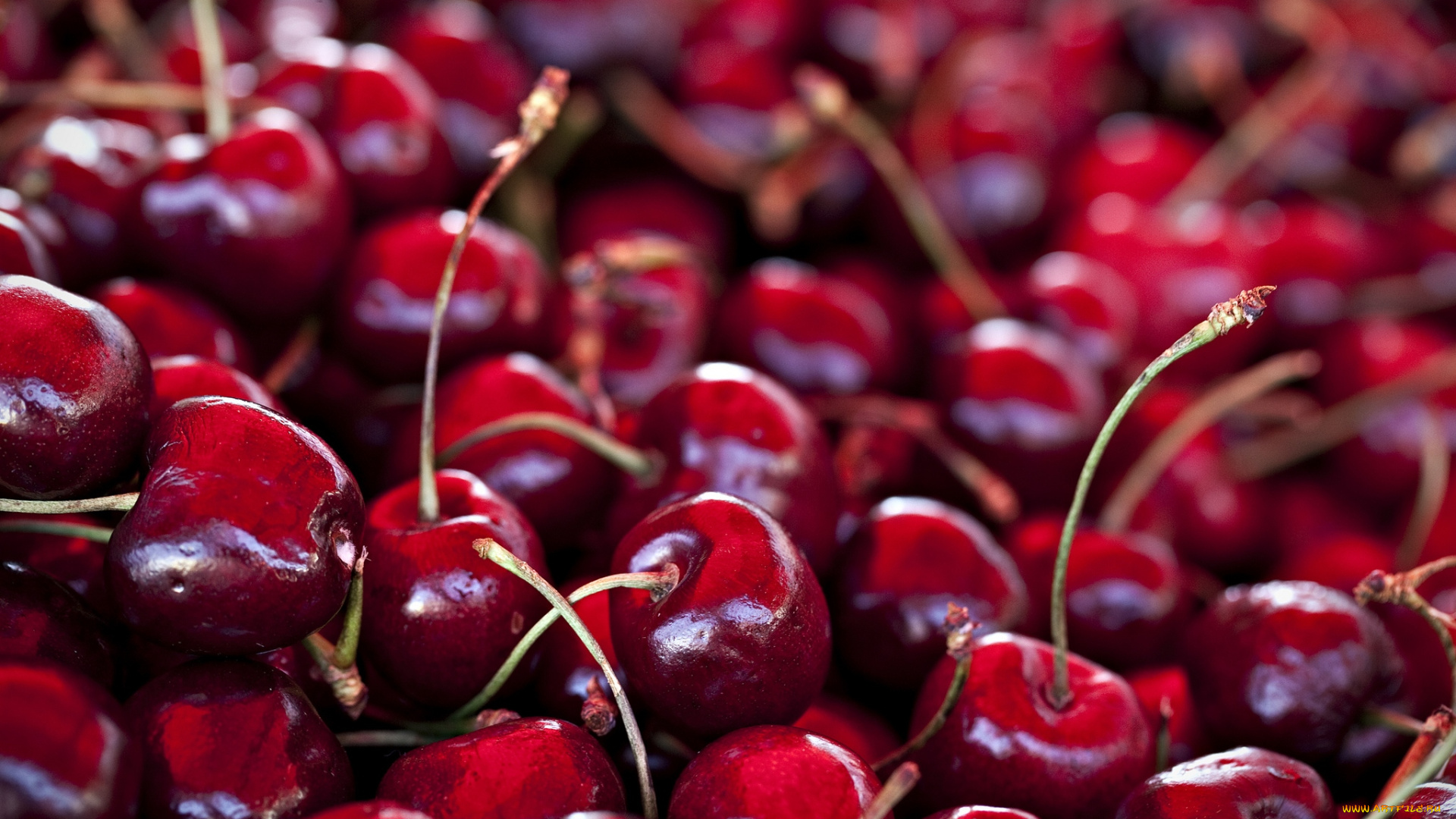 еда, вишня, черешня