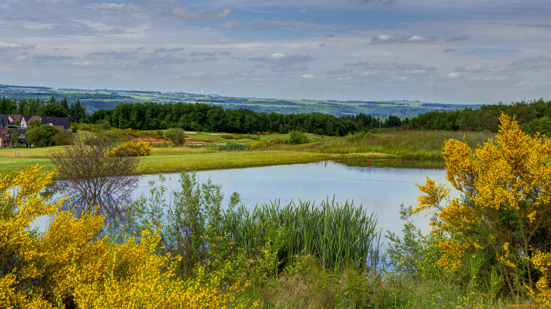 германия, эдигер, эллер, природа, реки, озера, берег, река