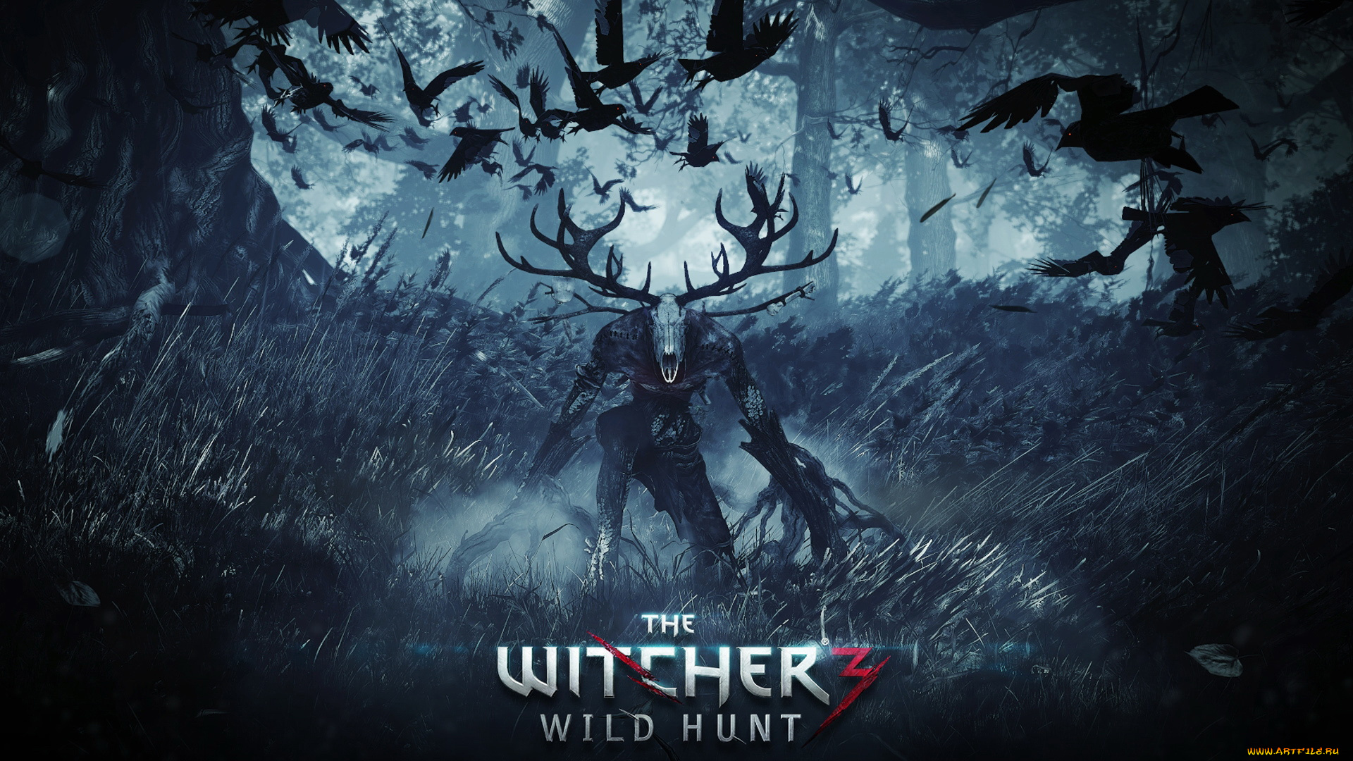 видео, игры, the, witcher, wild, hunt