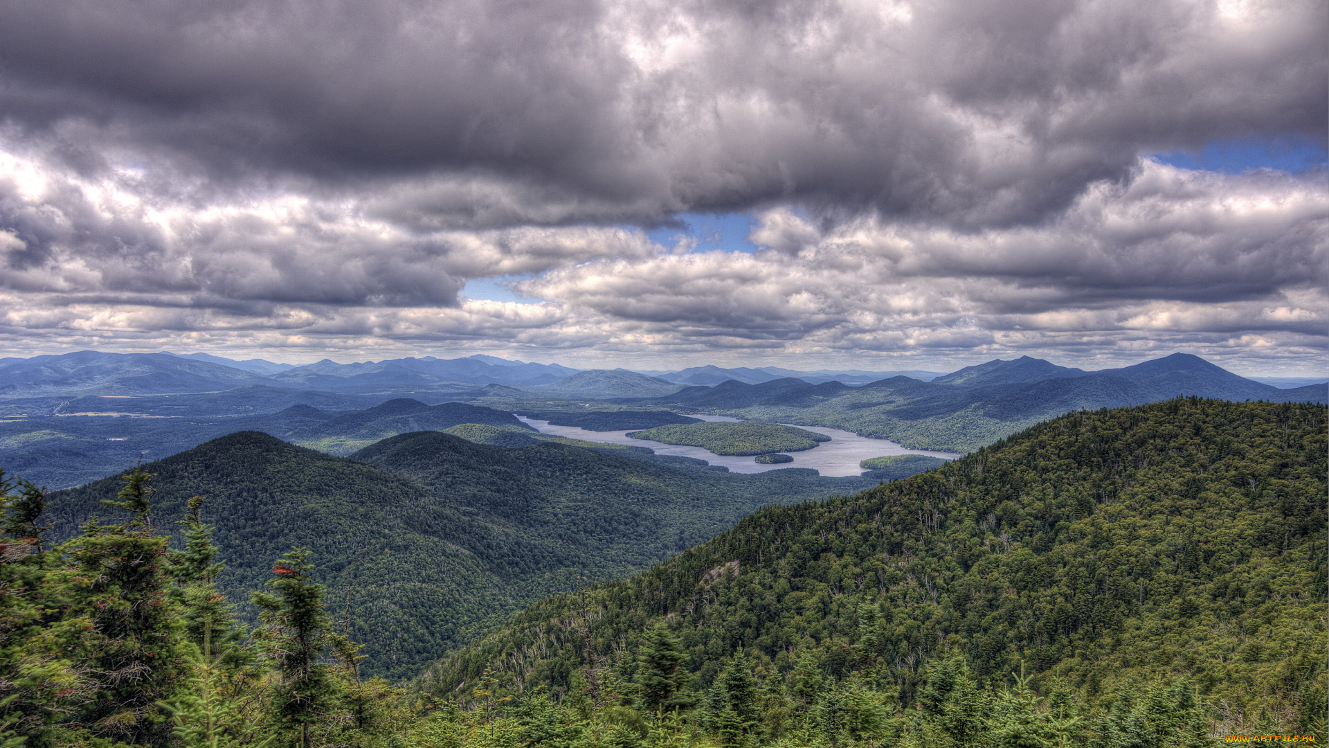 wilmington, usа, природа, горы, лес