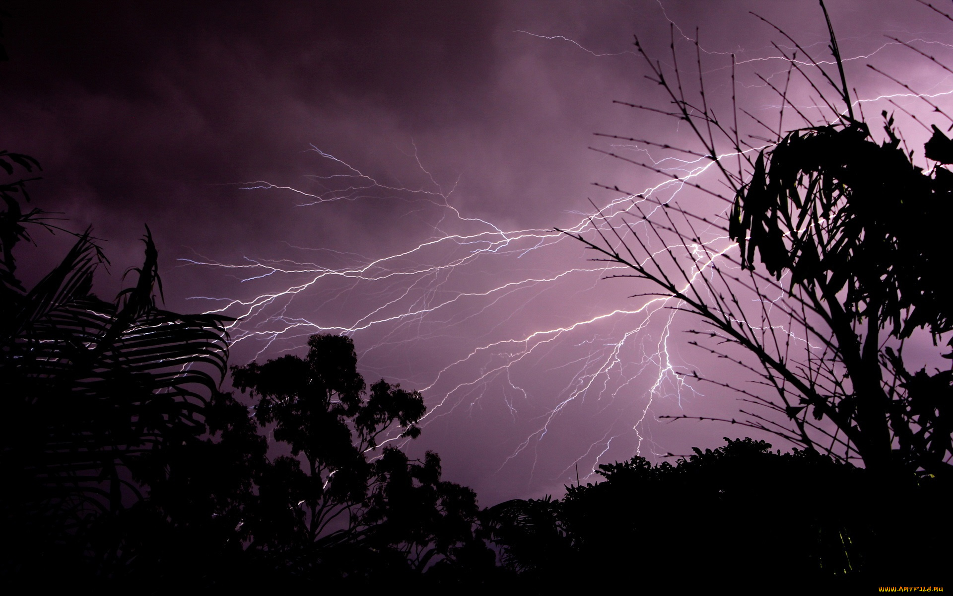 природа, молния, гроза, вечер, деревья
