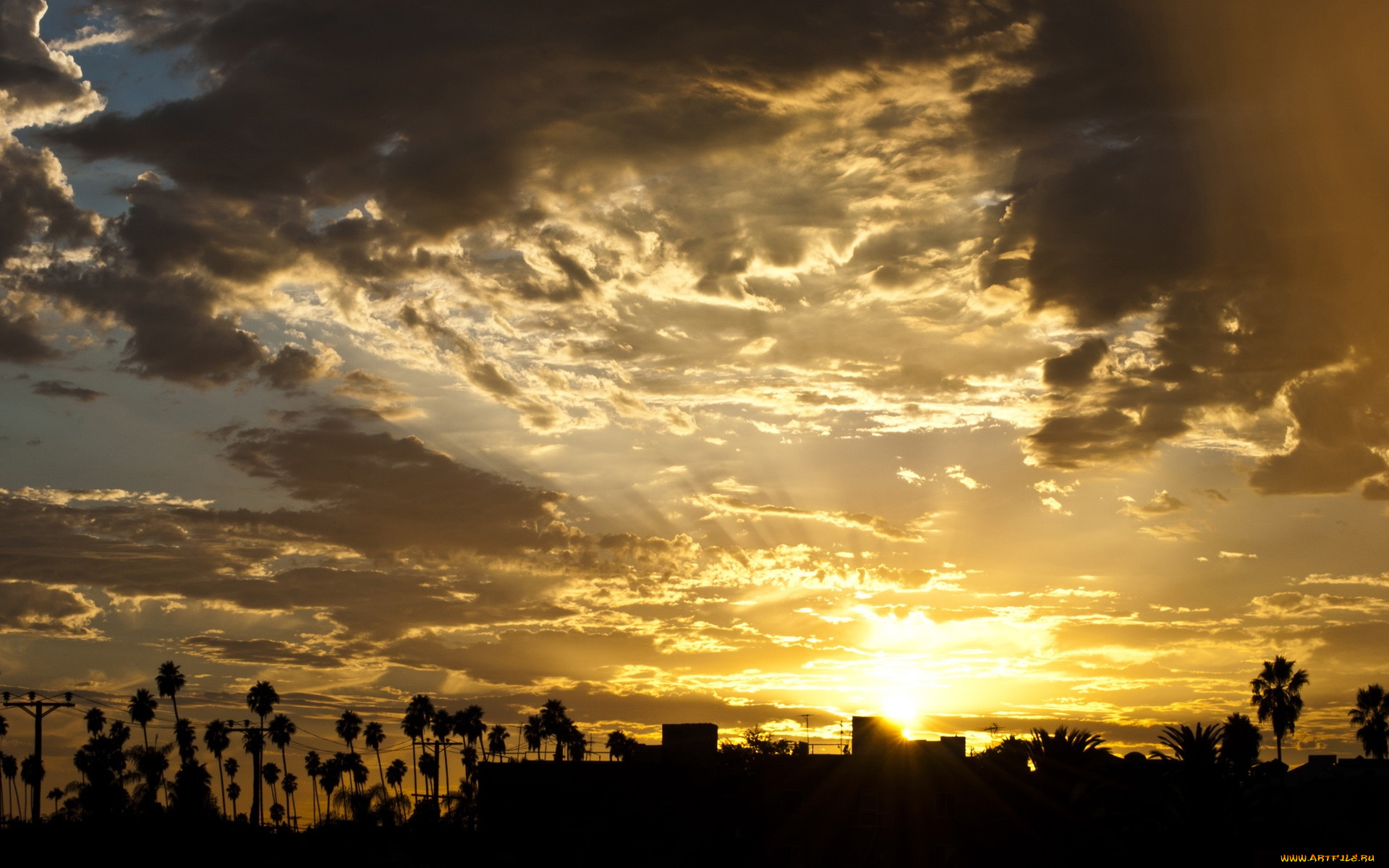 природа, восходы, закаты, облака, пальмы