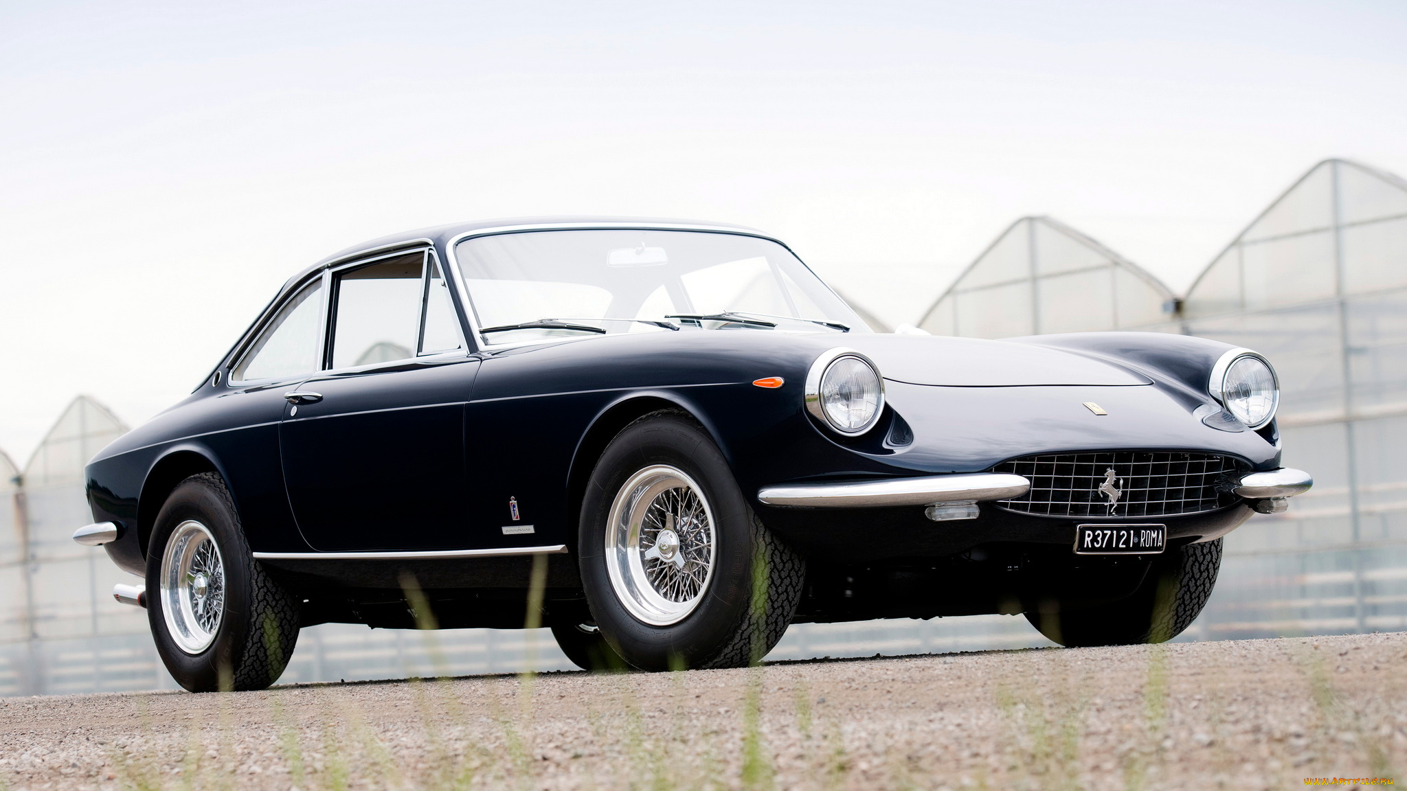 ferrari, 365, автомобили, италия, s, p, a, гоночные, спортивные