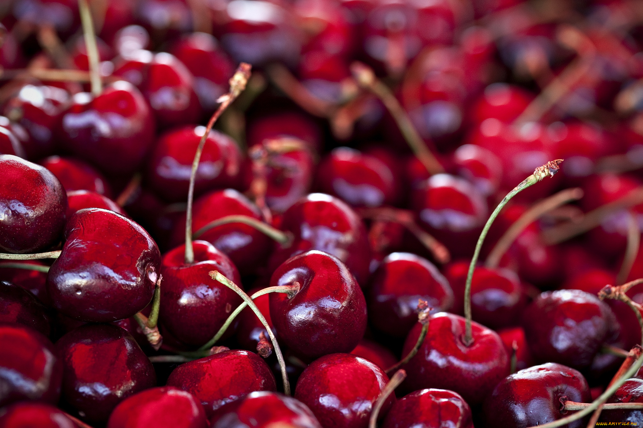 еда, вишня, черешня