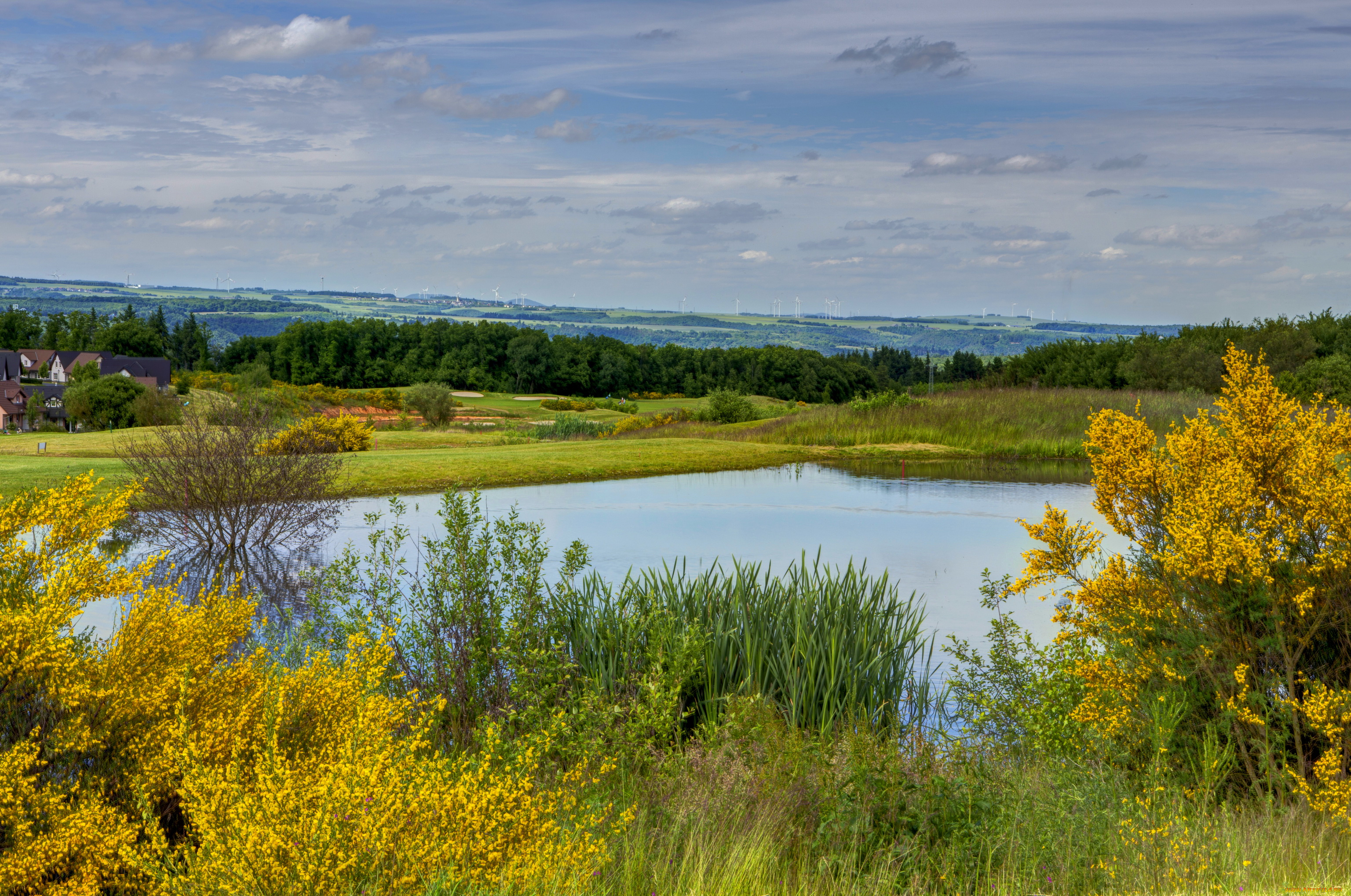 германия, эдигер, эллер, природа, реки, озера, берег, река