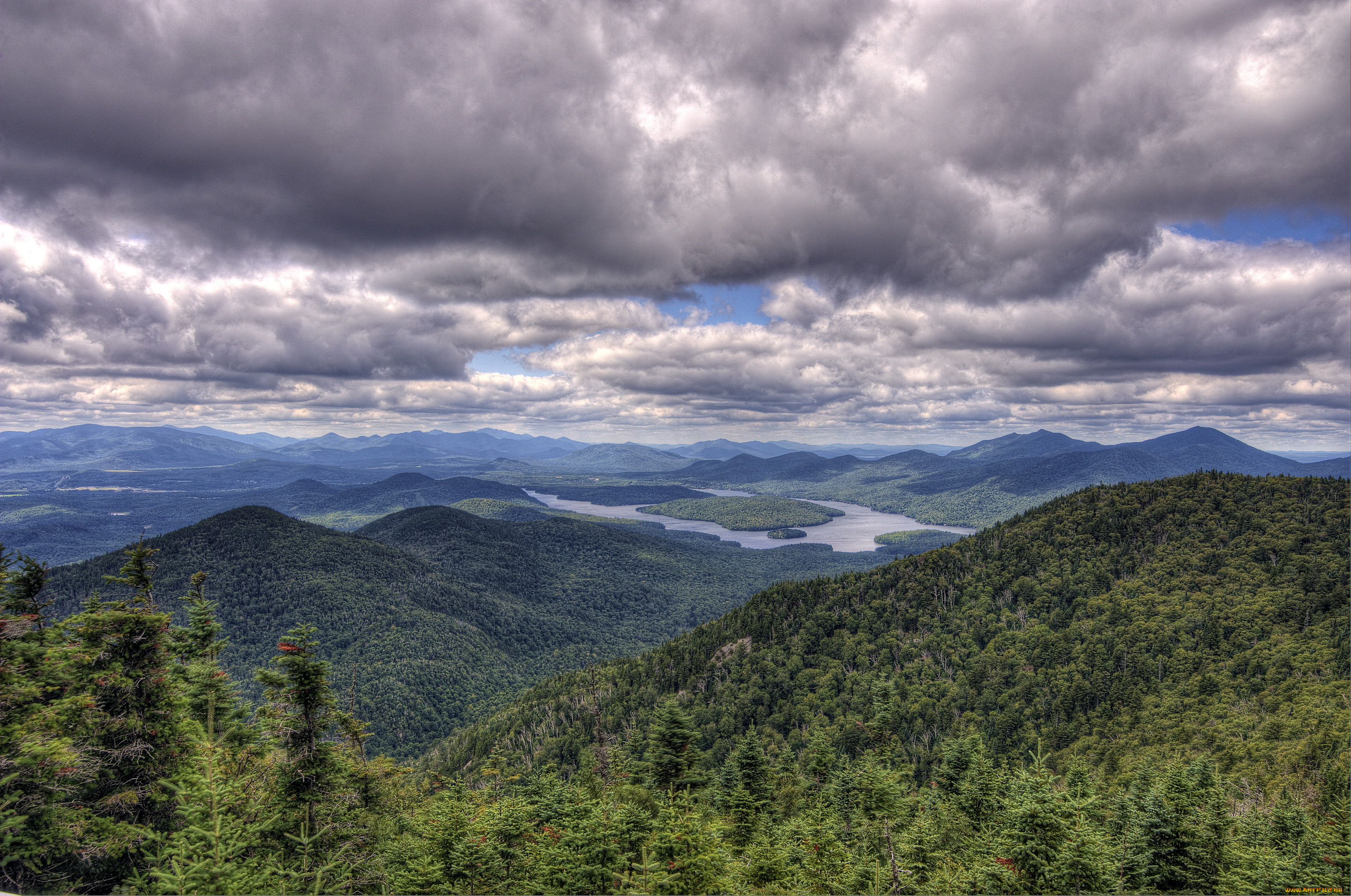 wilmington, usа, природа, горы, лес