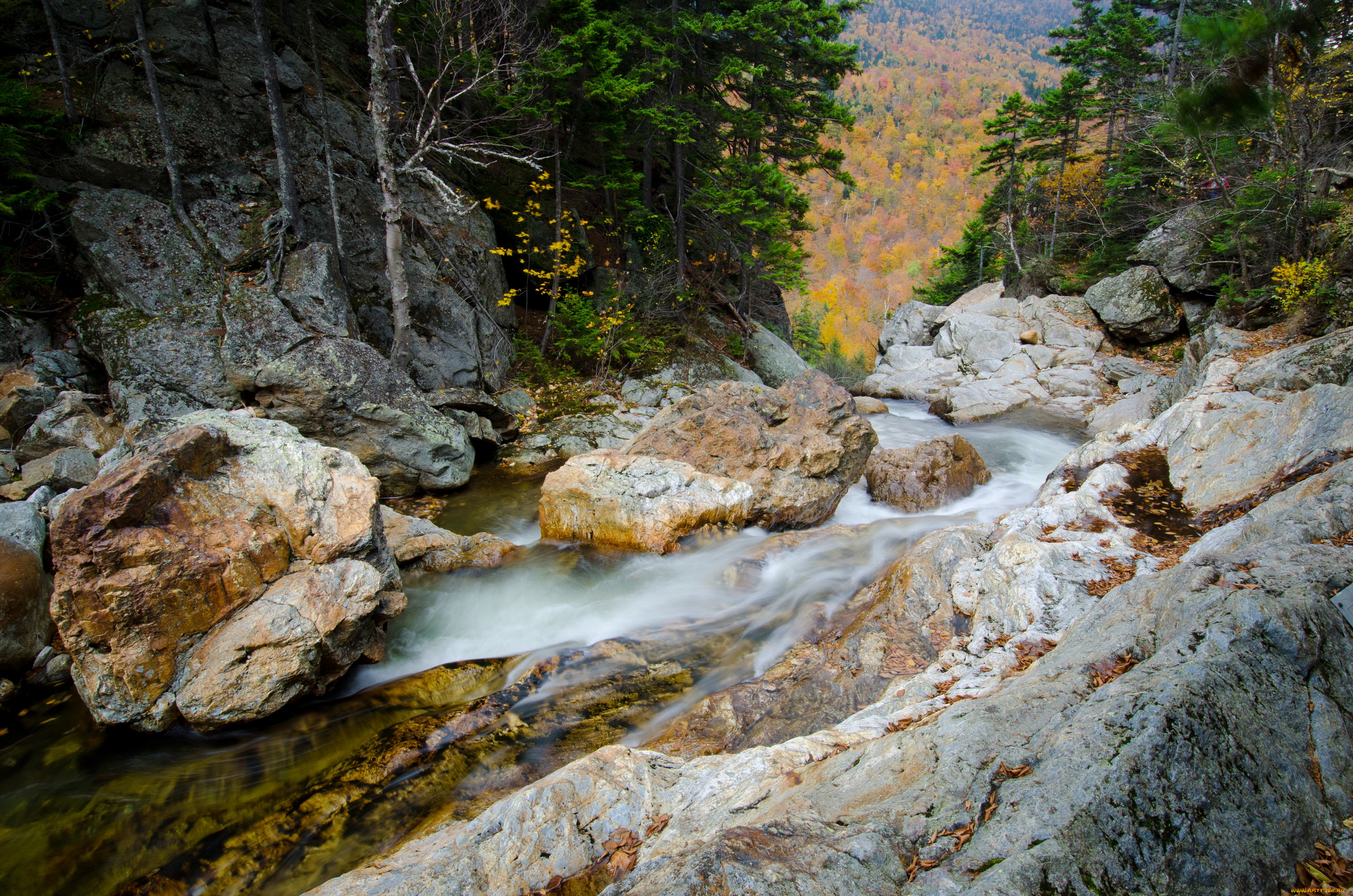 glen, ellis, falls, new, hampshire, us, природа, реки, озера, лес, горы, река