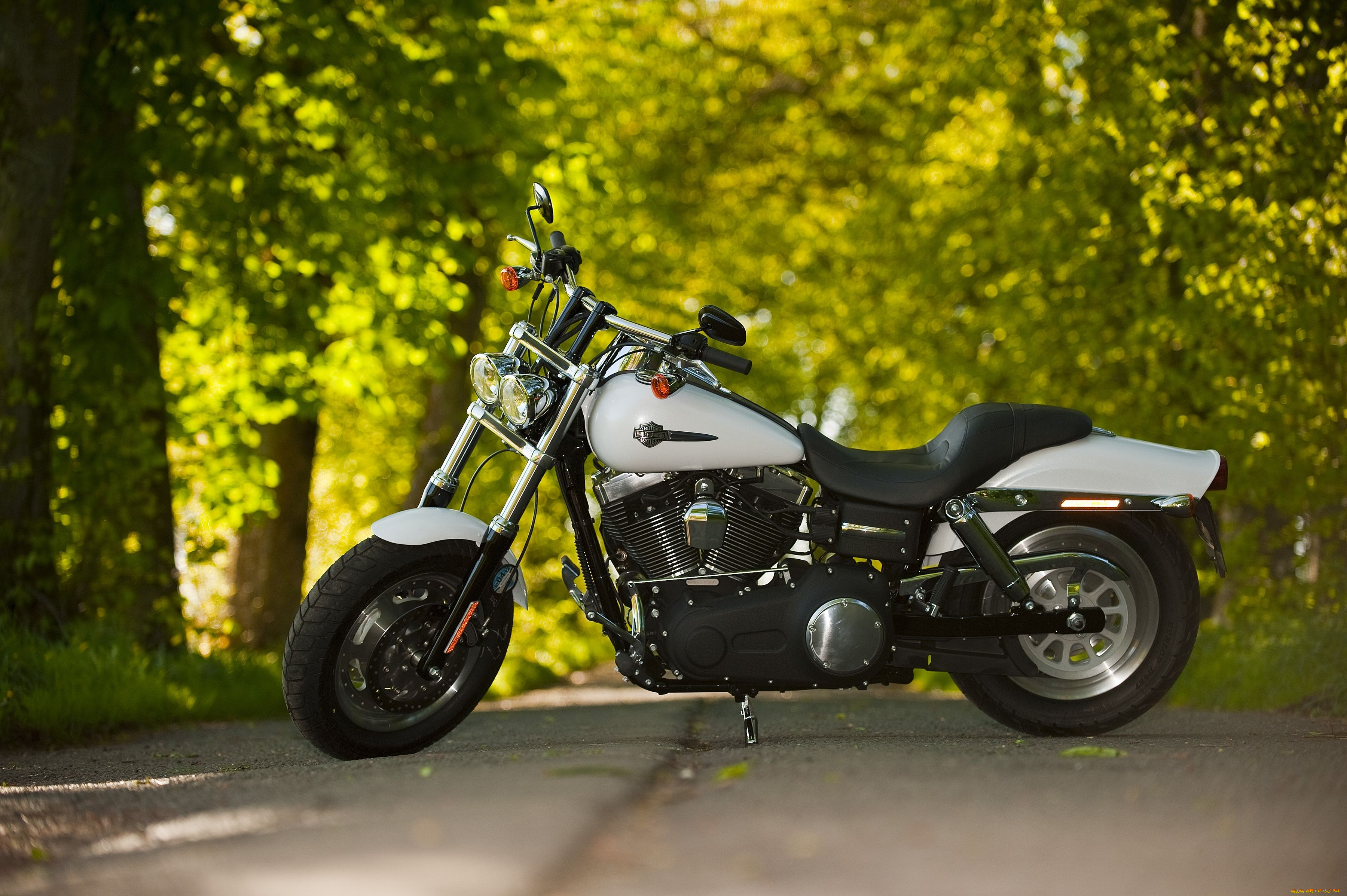 harley, davidson, fat, bob, мотоциклы, harley-davidson