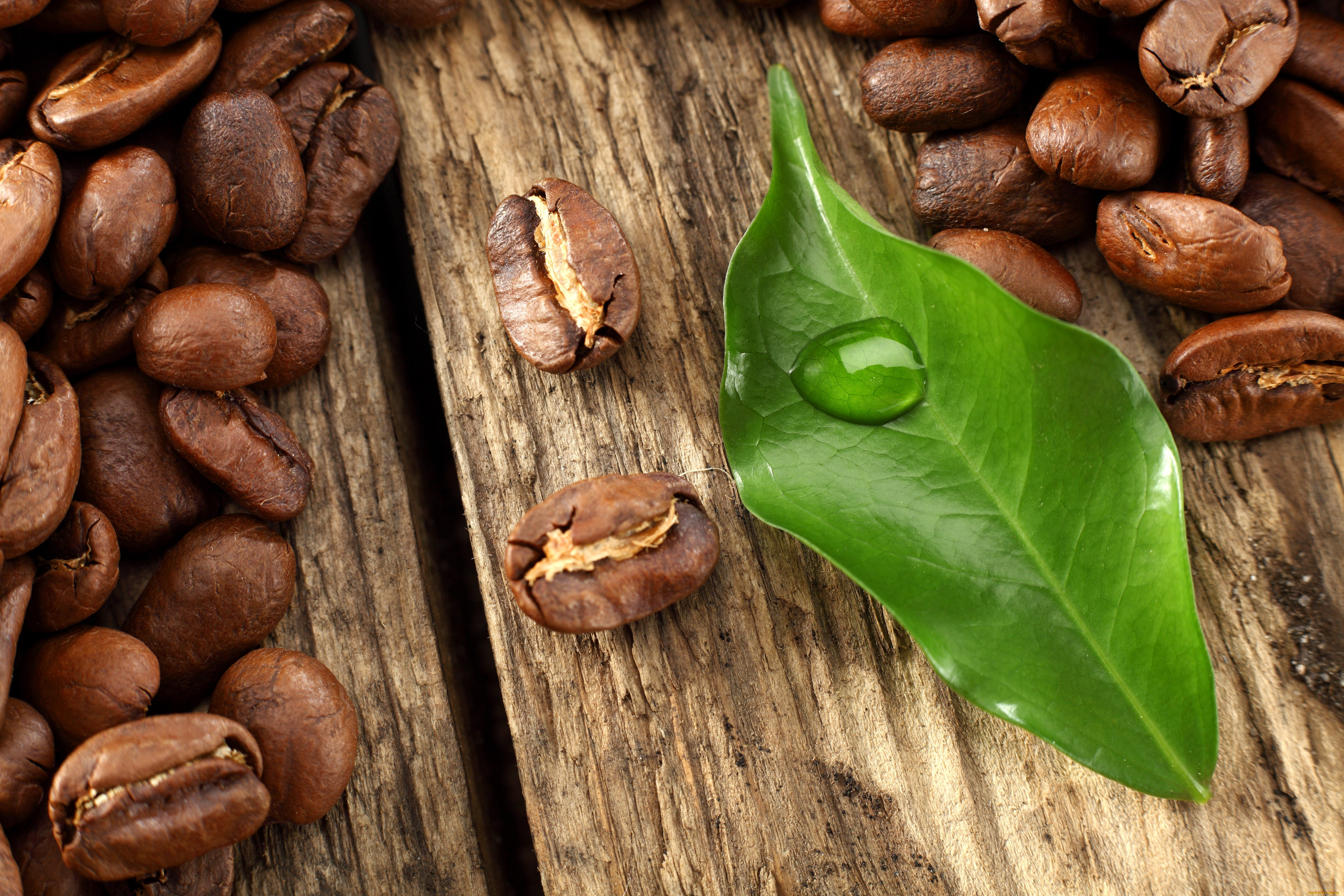 еда, кофе, кофейные, зёрна, листик, капля, стол