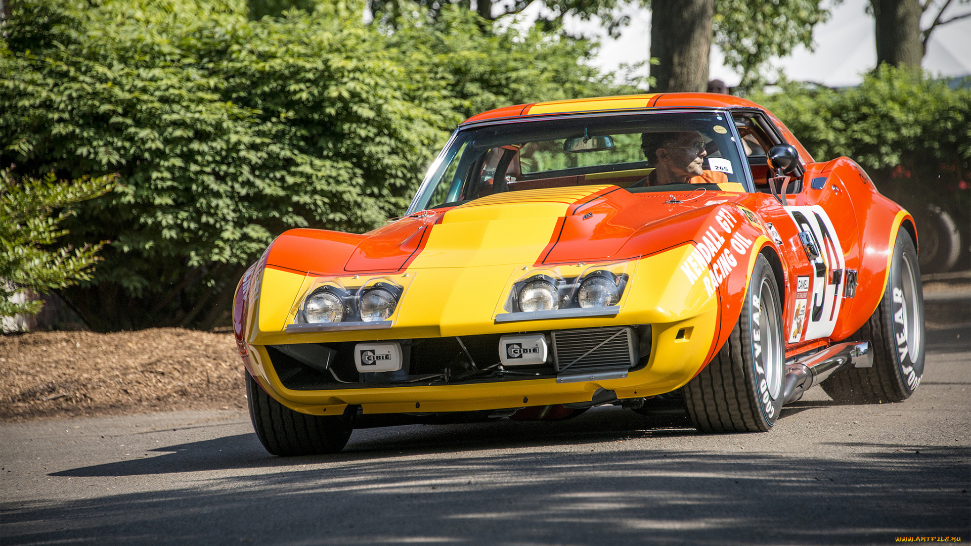 chevrolet, corvette, автомобили, corvette, выставка, автошоу, автопробег