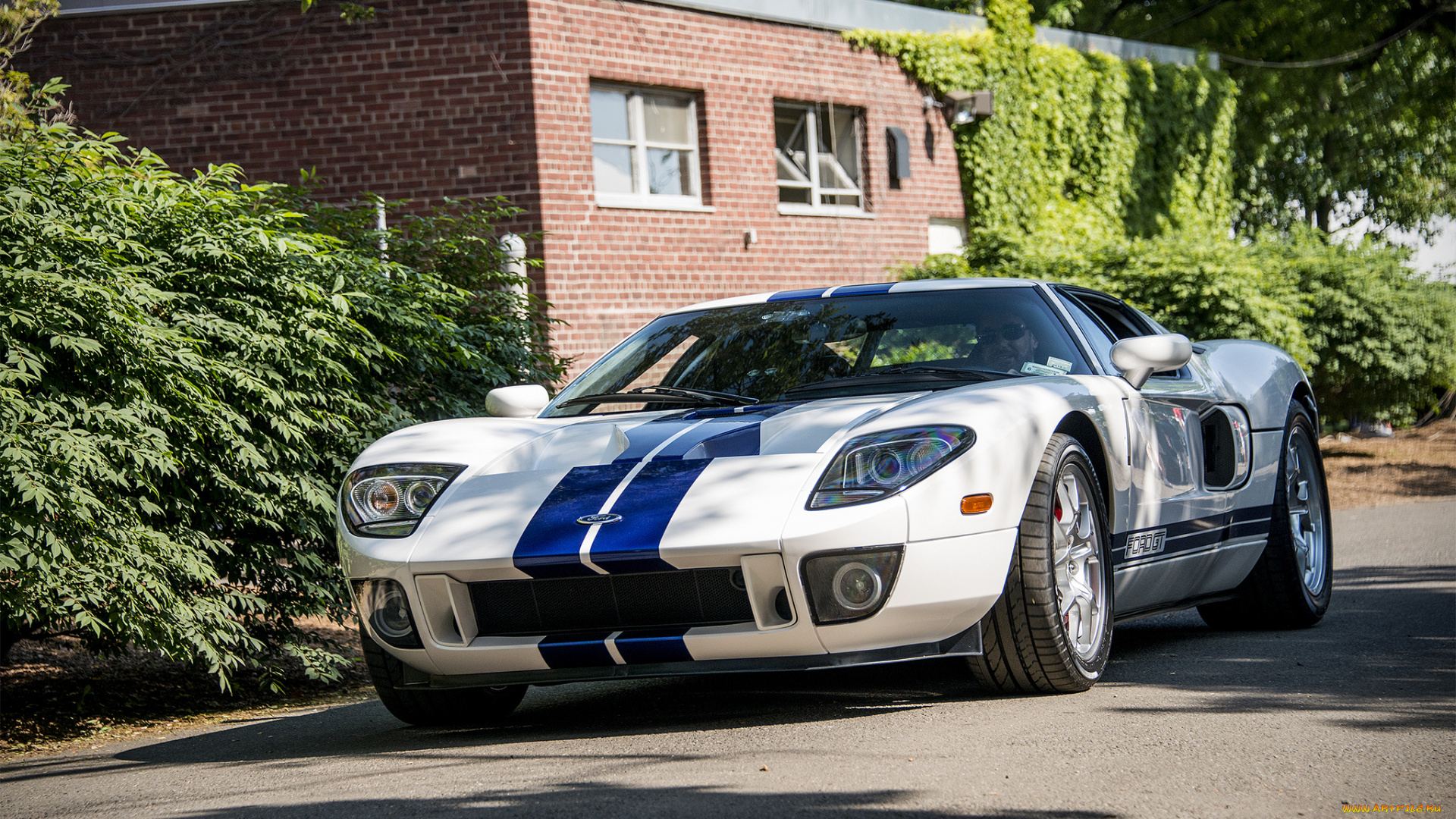 ford, gt, coupe, автомобили, ford, автопробег, выставка, автошоу