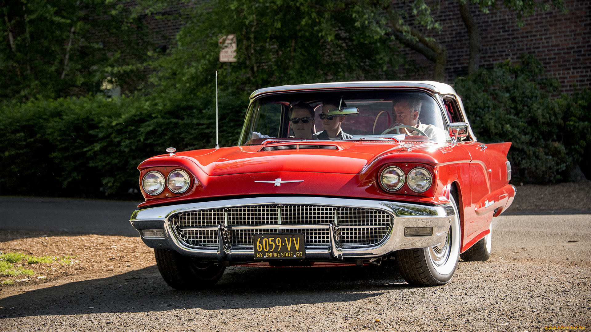 ford, thunderbird, автомобили, ford, автошоу, выставка, автопробег