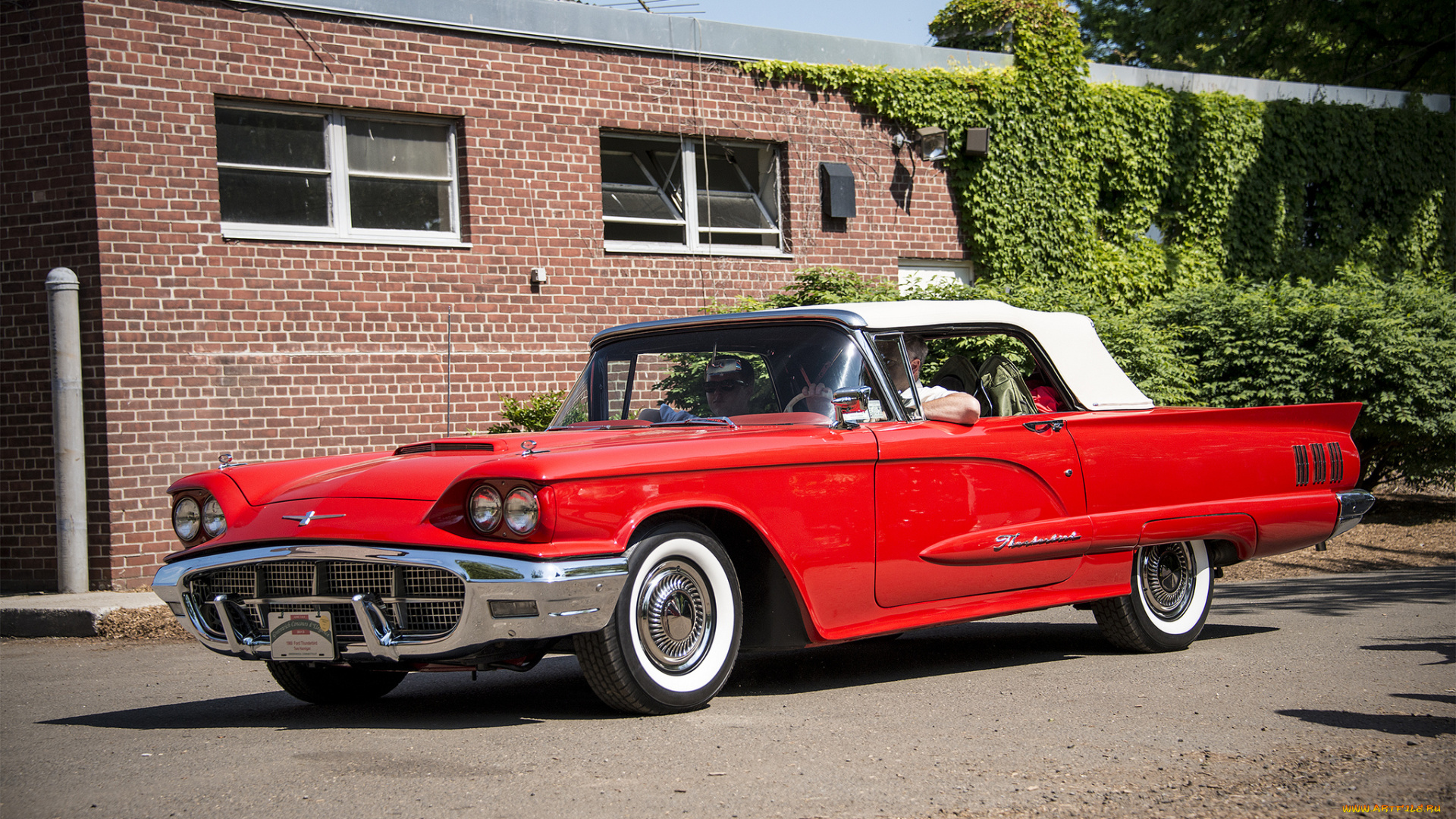 ford, thunderbird, автомобили, ford, автошоу, автопробег, выставка