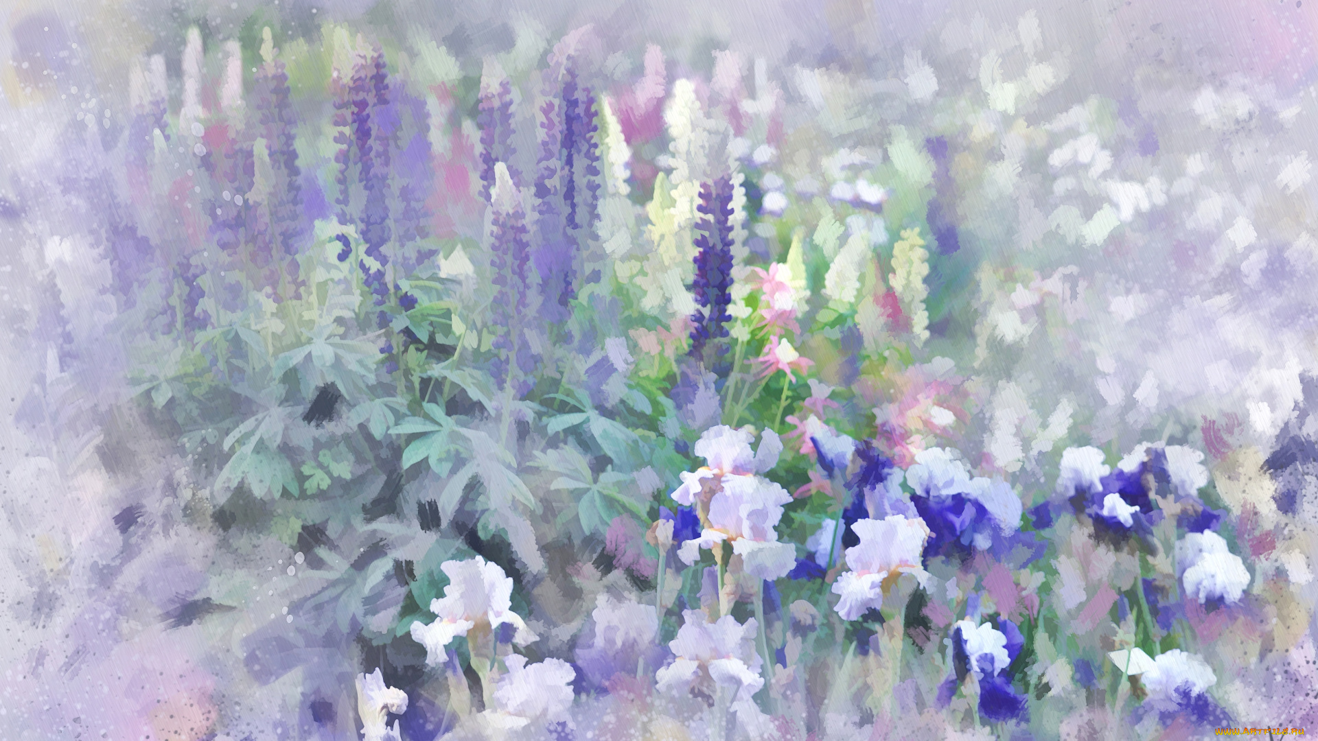 рисованные, цветы, ирисы