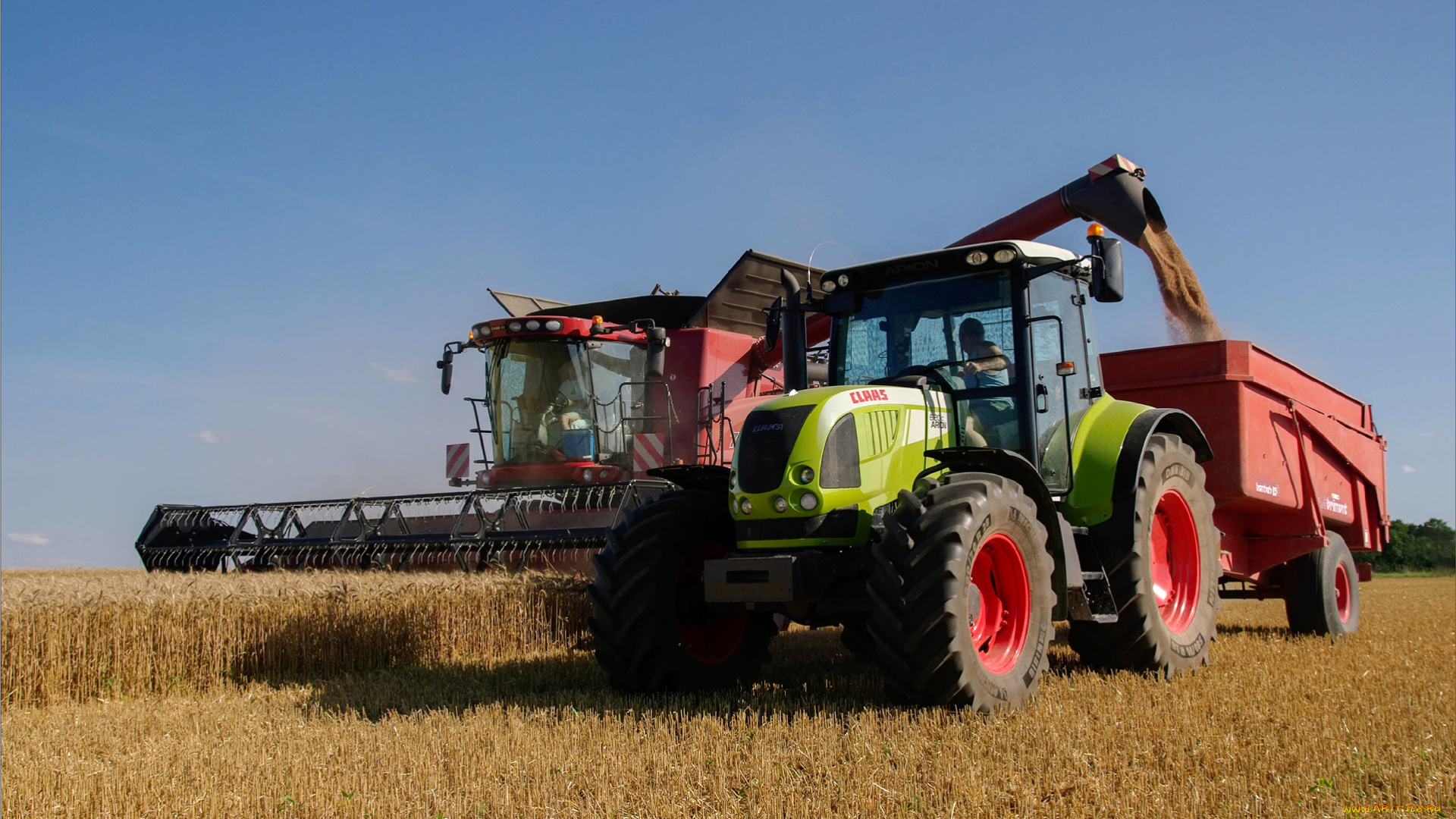 техника, комбайны, трактор, комбайн, поле, жатва