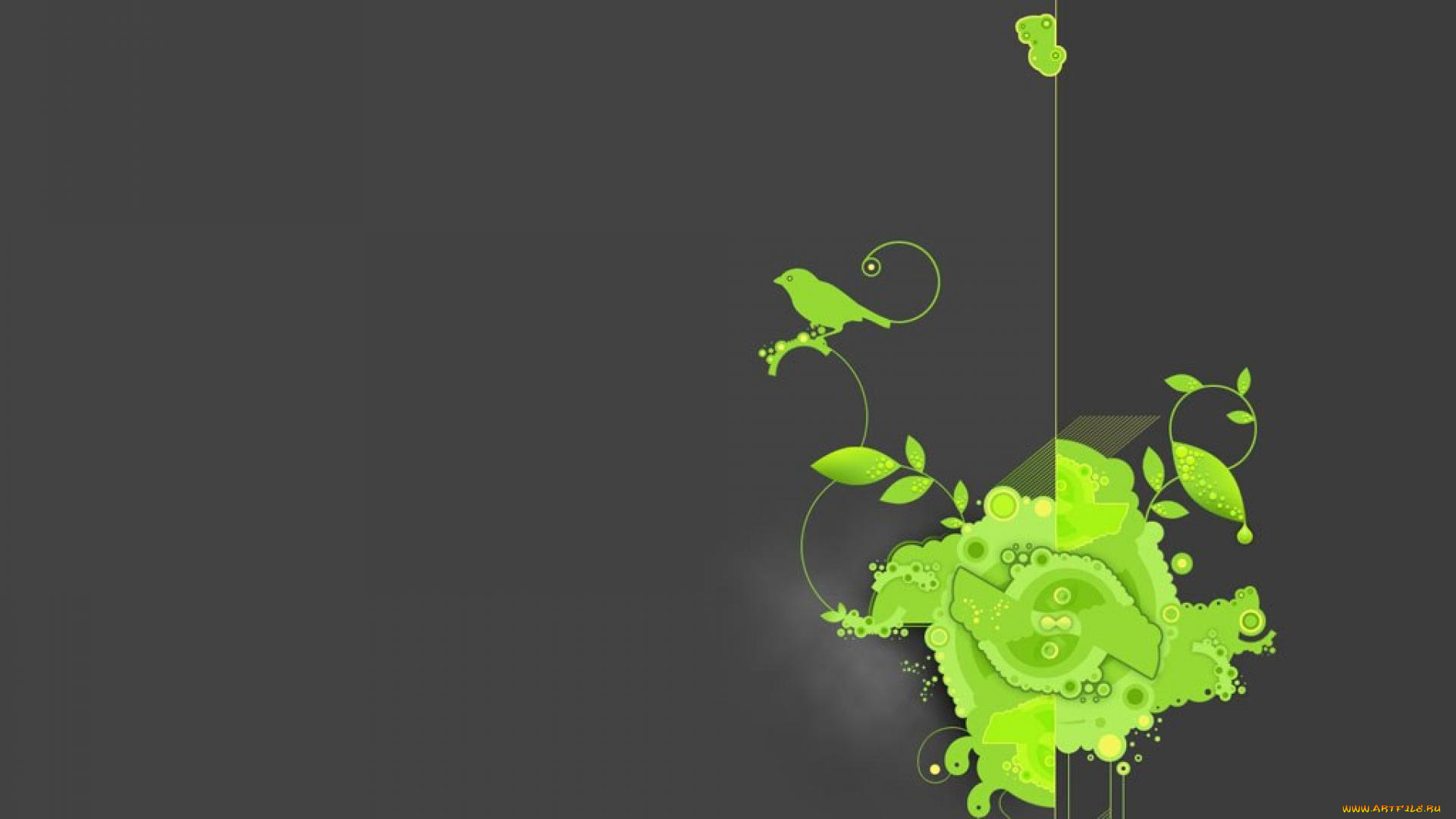 векторная, графика, графика, птицка