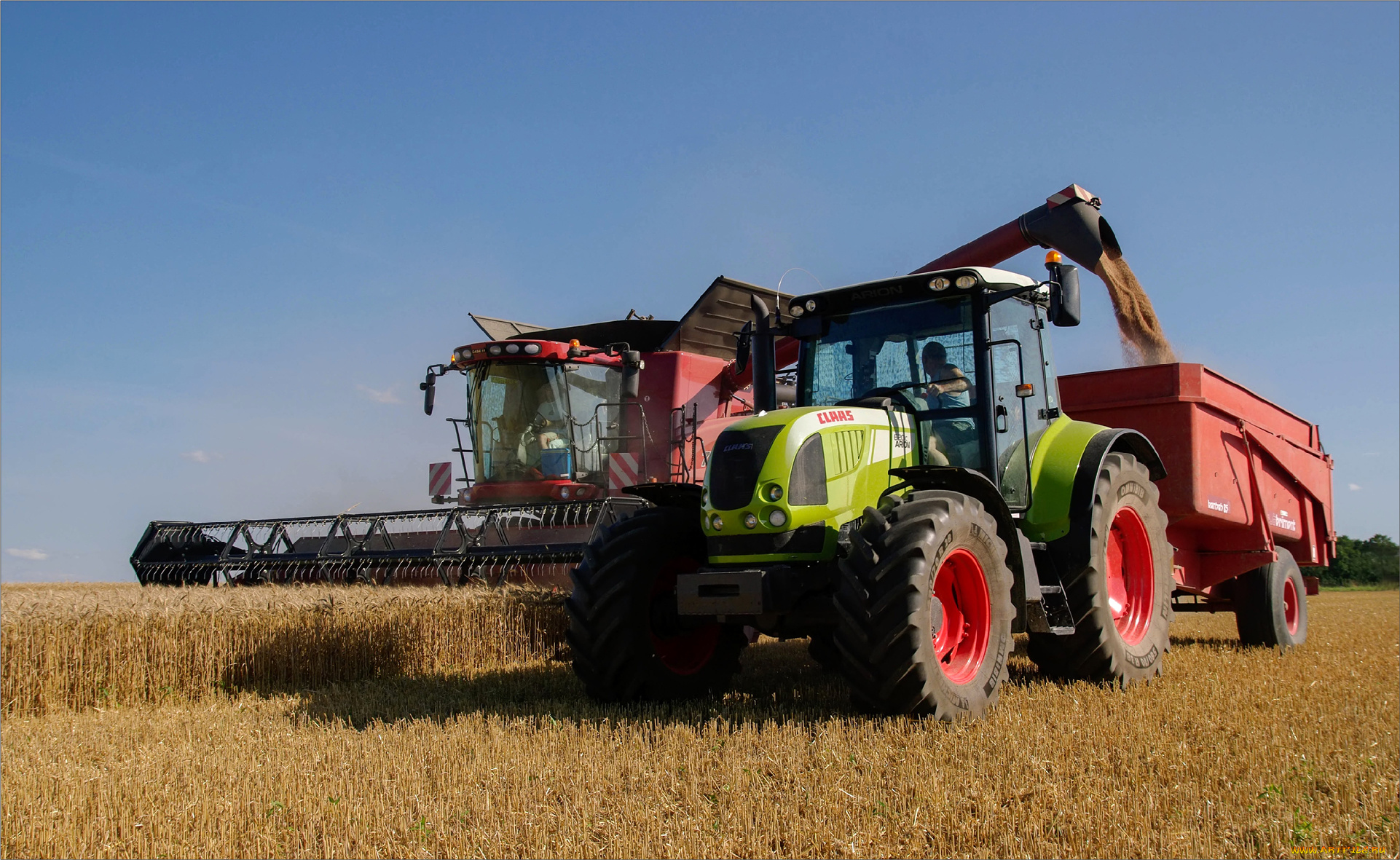 техника, комбайны, трактор, комбайн, поле, жатва