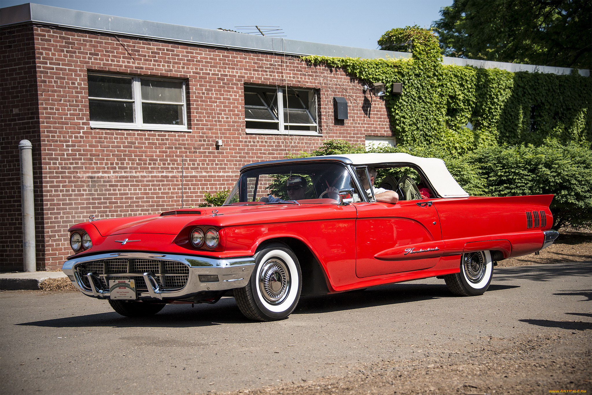 ford, thunderbird, автомобили, ford, автошоу, автопробег, выставка