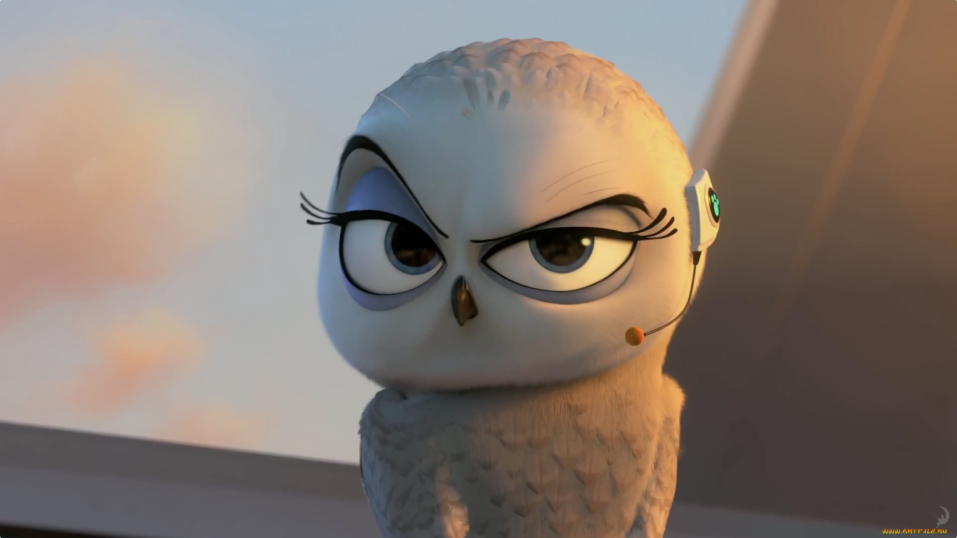 мультфильмы, the, penguins, of, madagascar, пингвин, фон