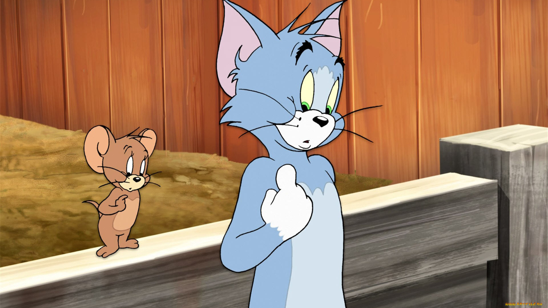 мультфильмы, tom, and, jerry, мышь, кот, забор
