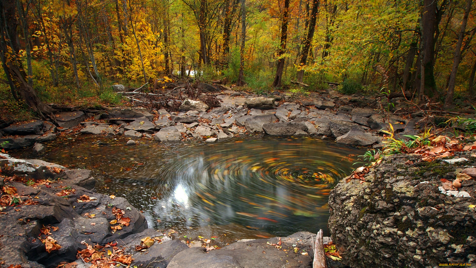 природа, реки, озера, ручей, лес, осень