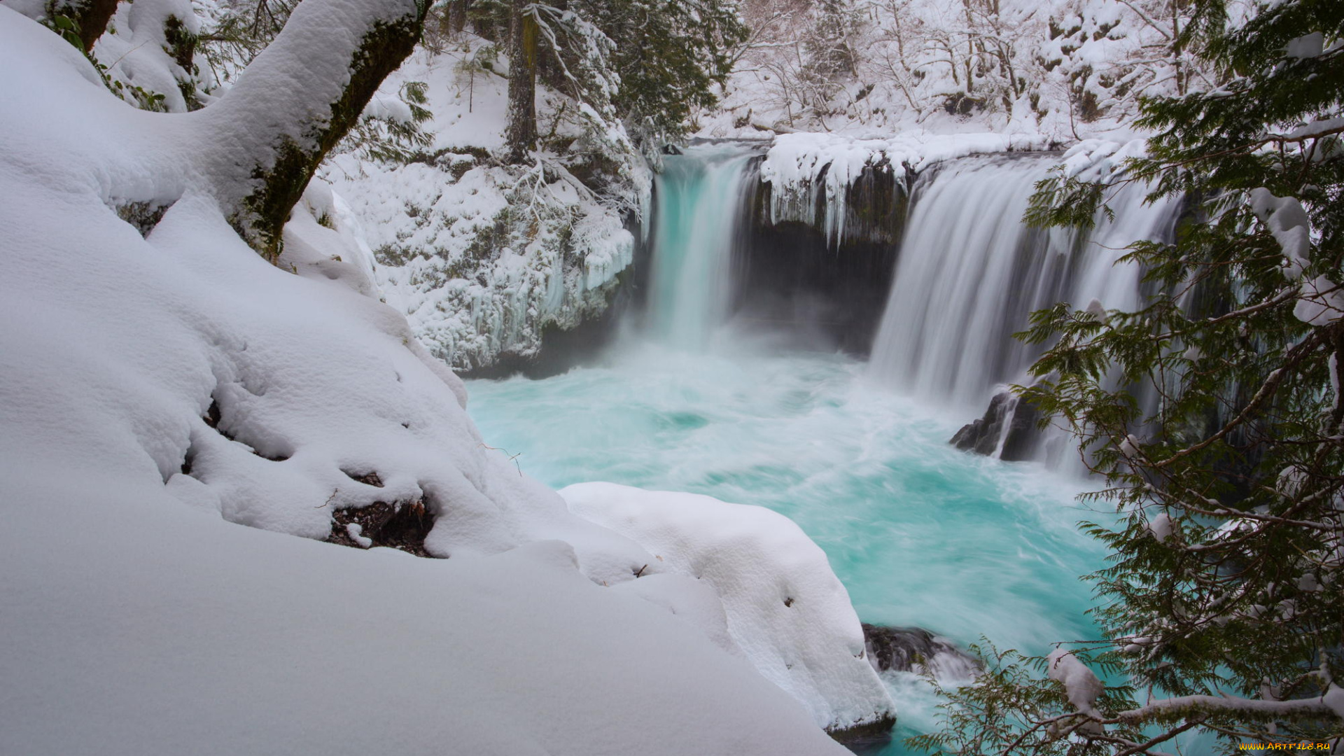 природа, водопады, деревья, водопад, зима, снег, лес
