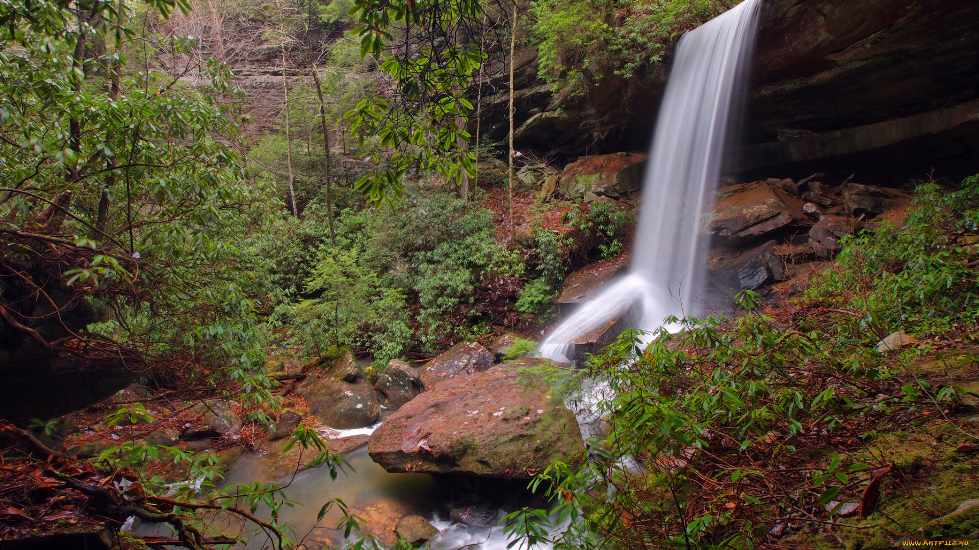 природа, водопады, лес, река, водопад
