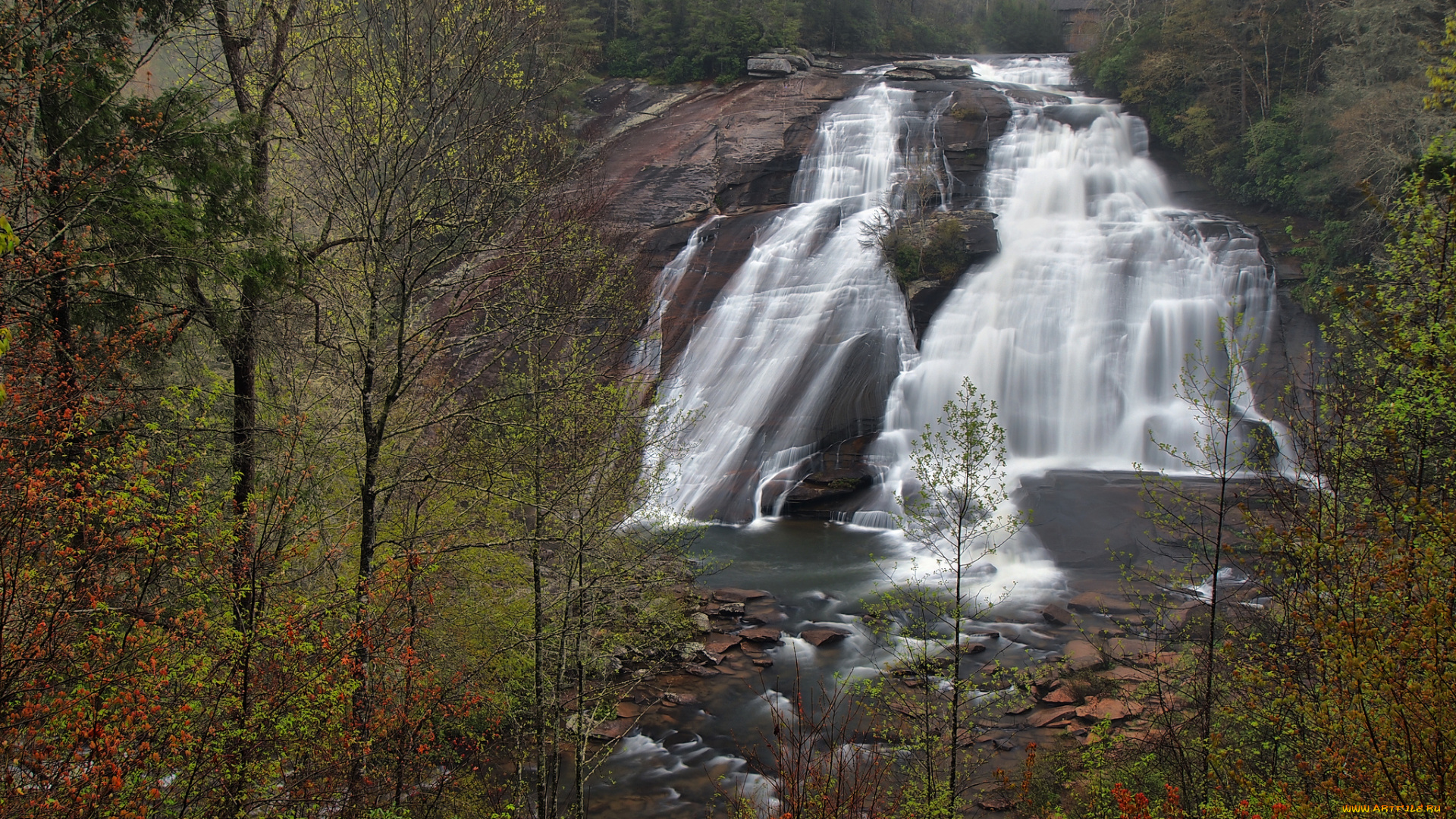 природа, водопады, лес, водопад, река