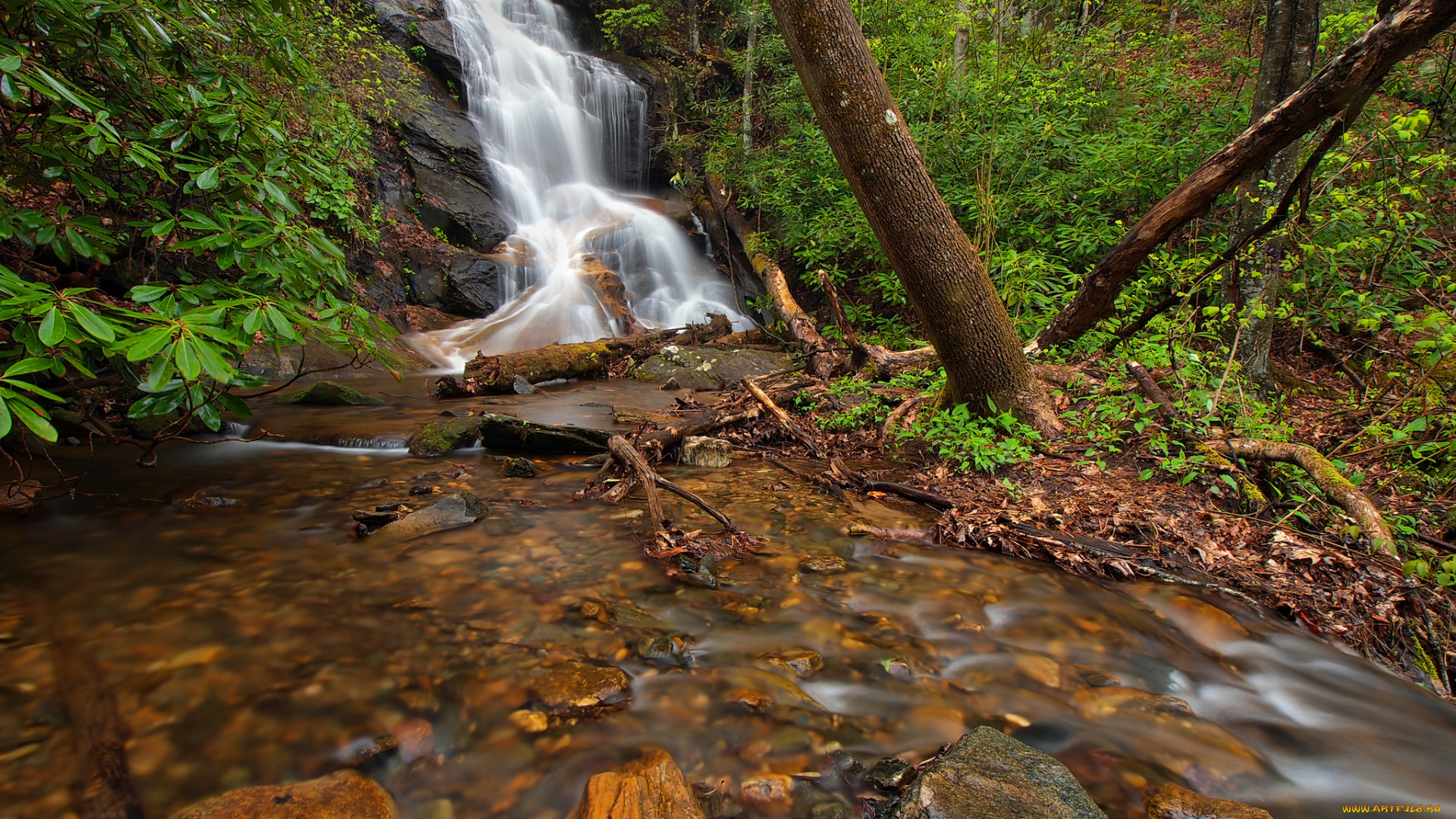 природа, водопады, водопад, река, лес