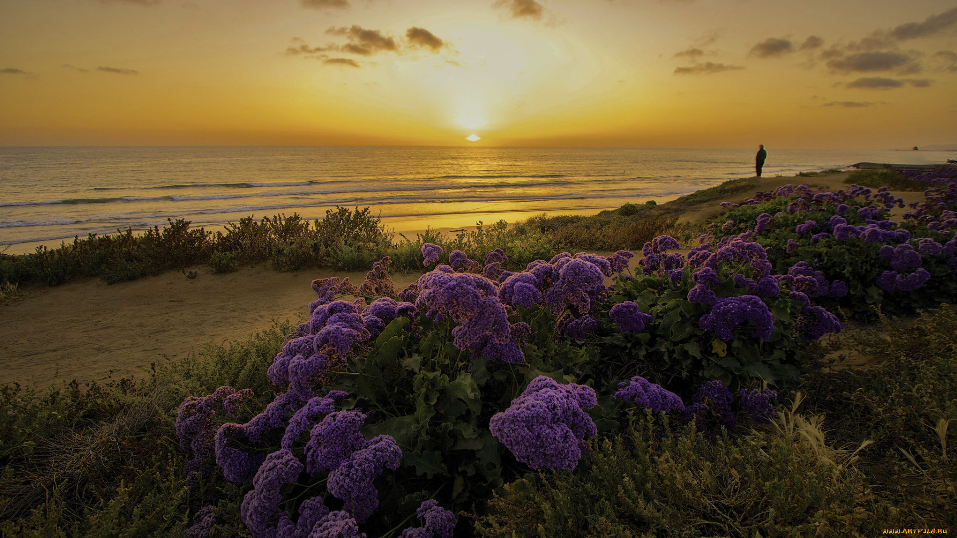 природа, восходы, закаты, сумерки