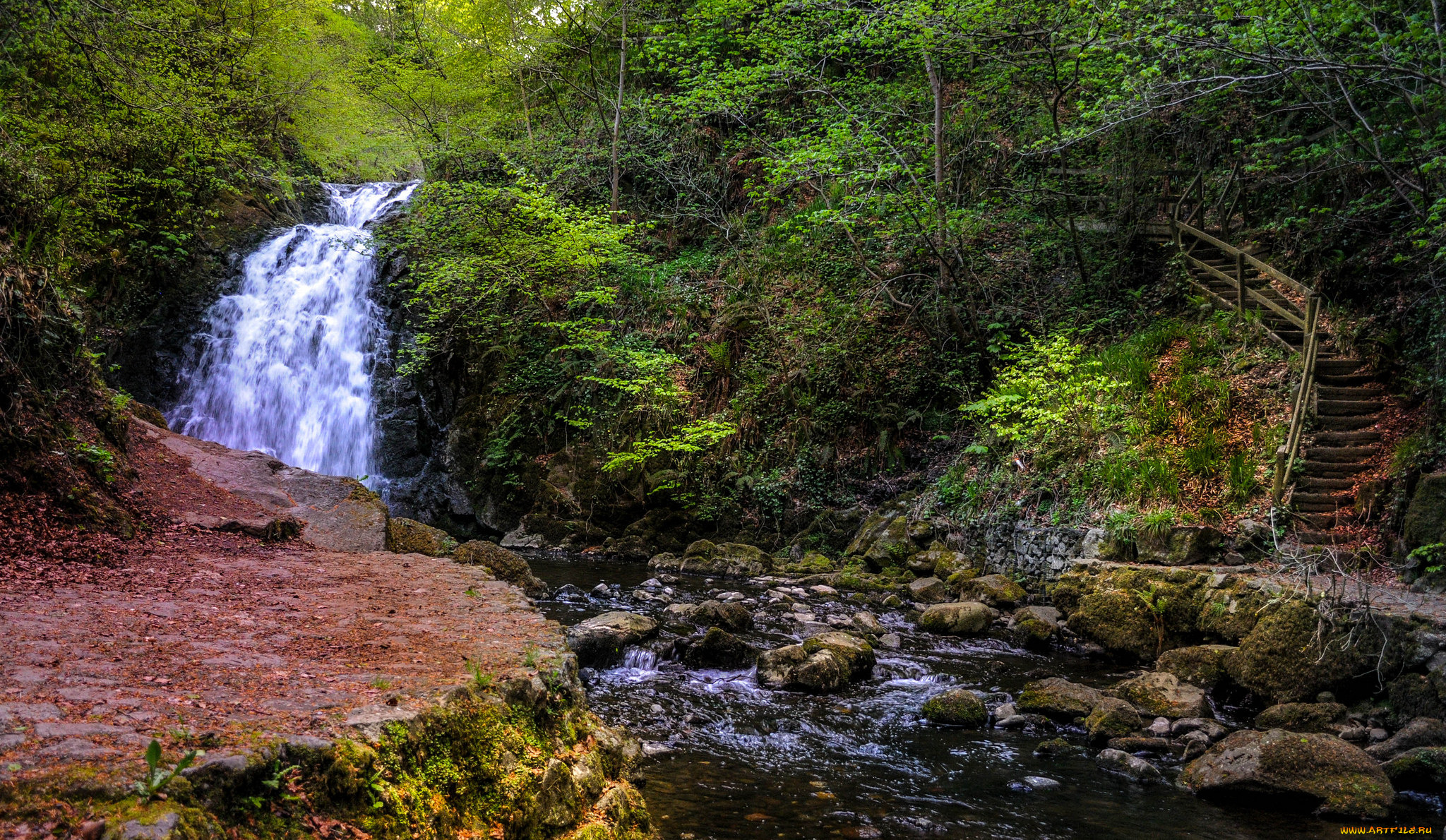 природа, водопады, лес, река, водопад