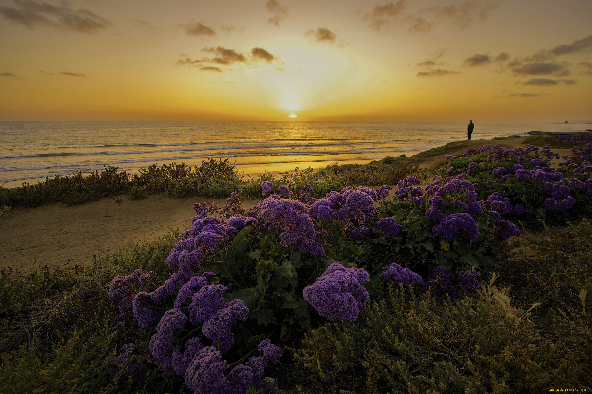 природа, восходы, закаты, сумерки