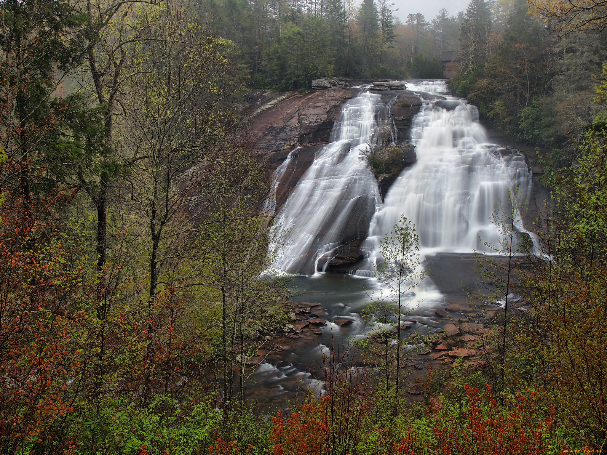 природа, водопады, лес, водопад, река