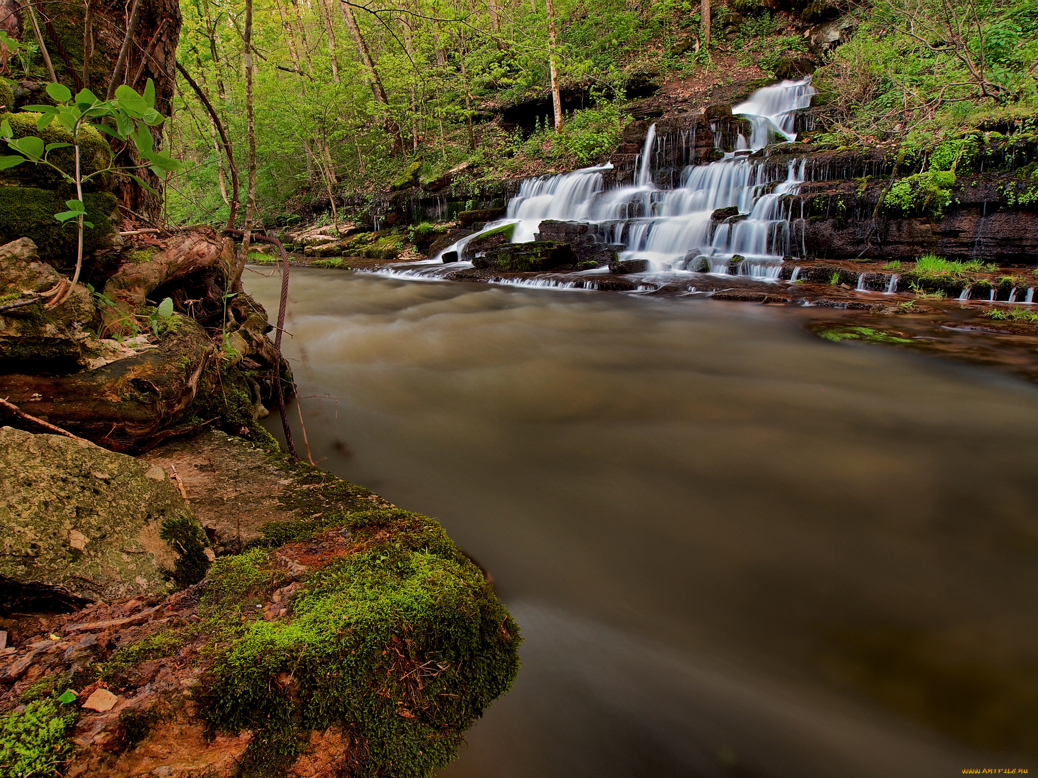 природа, водопады, река, водопад, лес
