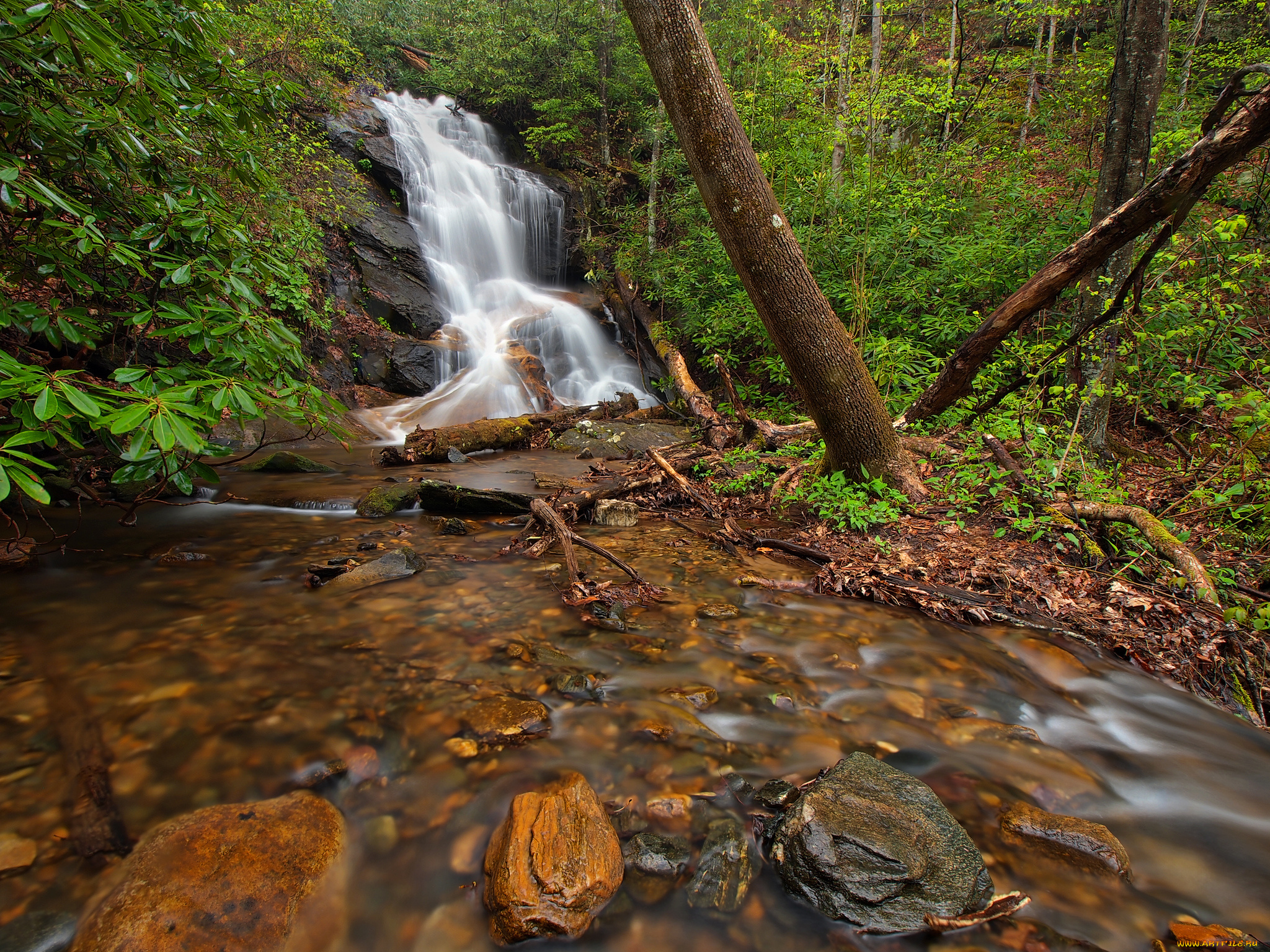 природа, водопады, водопад, река, лес