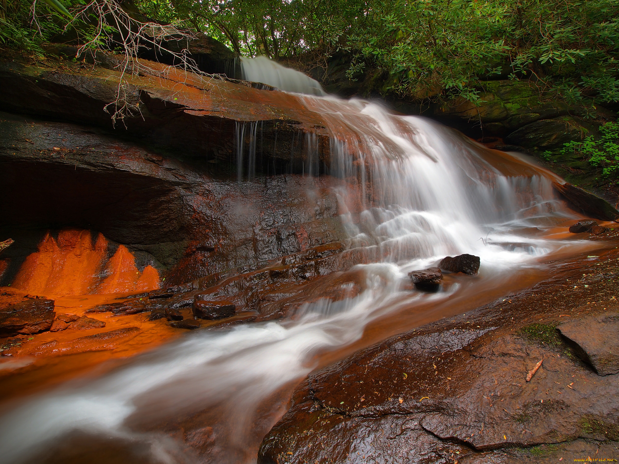 природа, водопады, водопад, река, лес