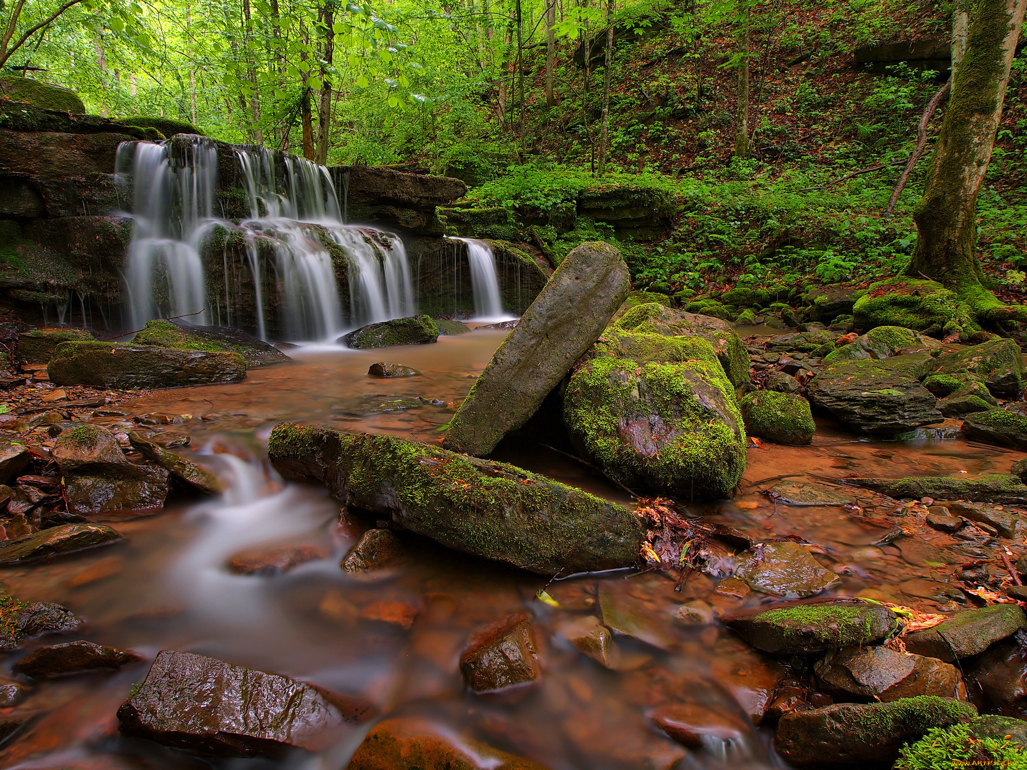 природа, водопады, водопад, река, лес