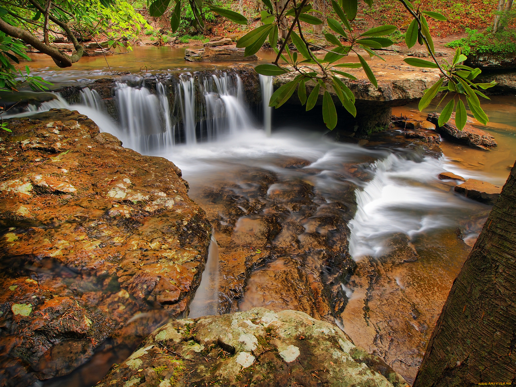 природа, водопады, водопад, река, лес