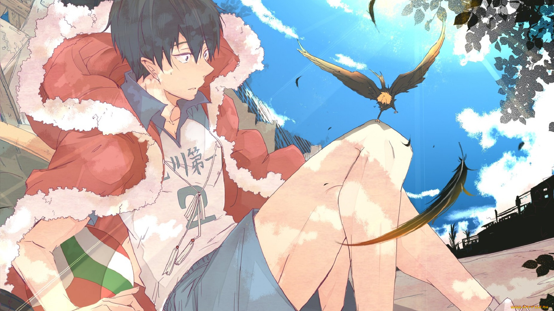 аниме, haikyuu, кагеяма, тобио, птица