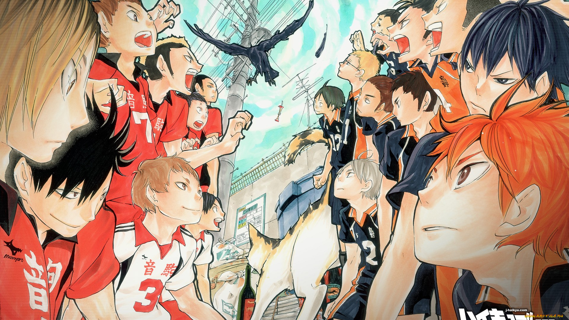 аниме, haikyuu, парни